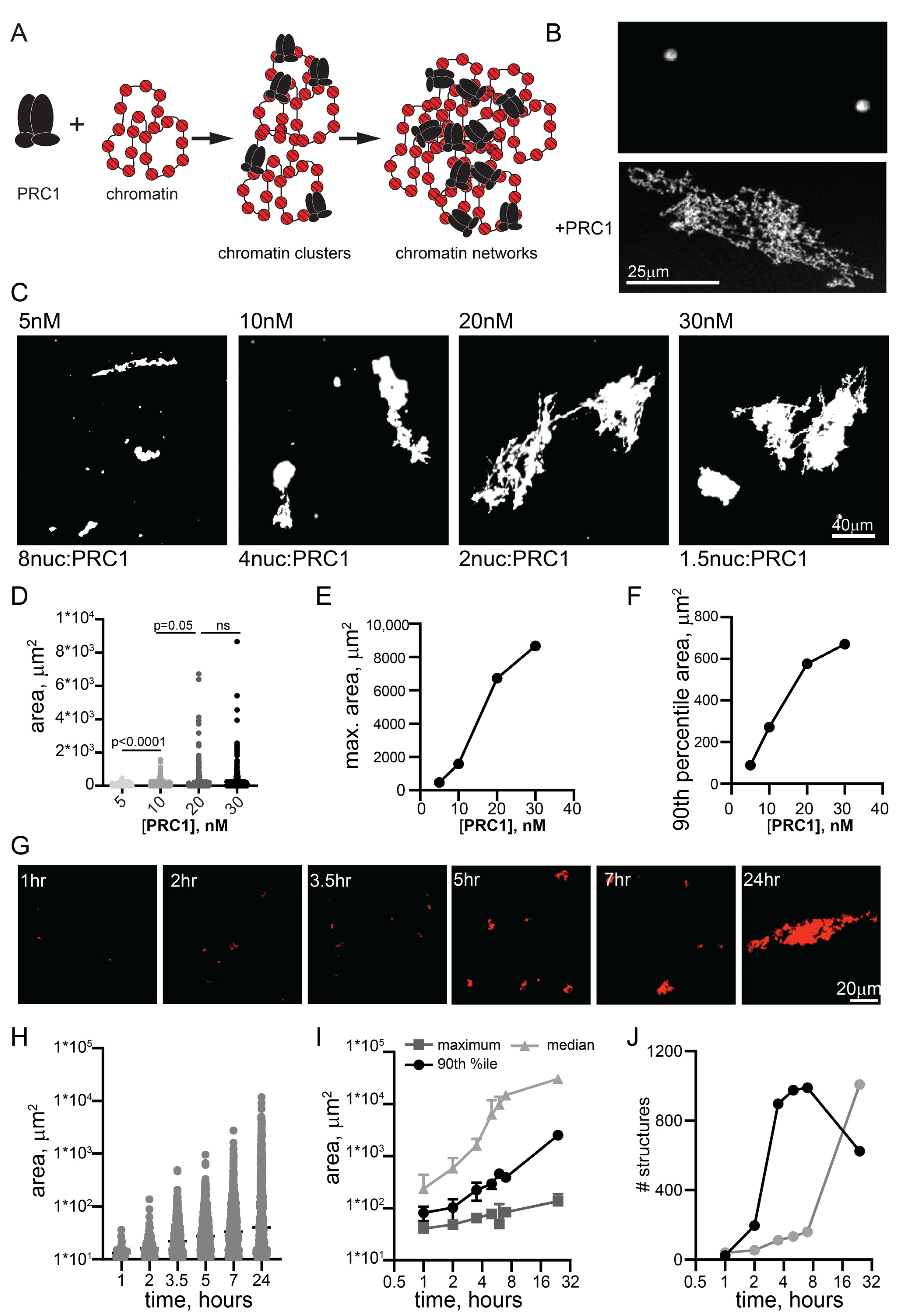 Molecules 29 00323 g001