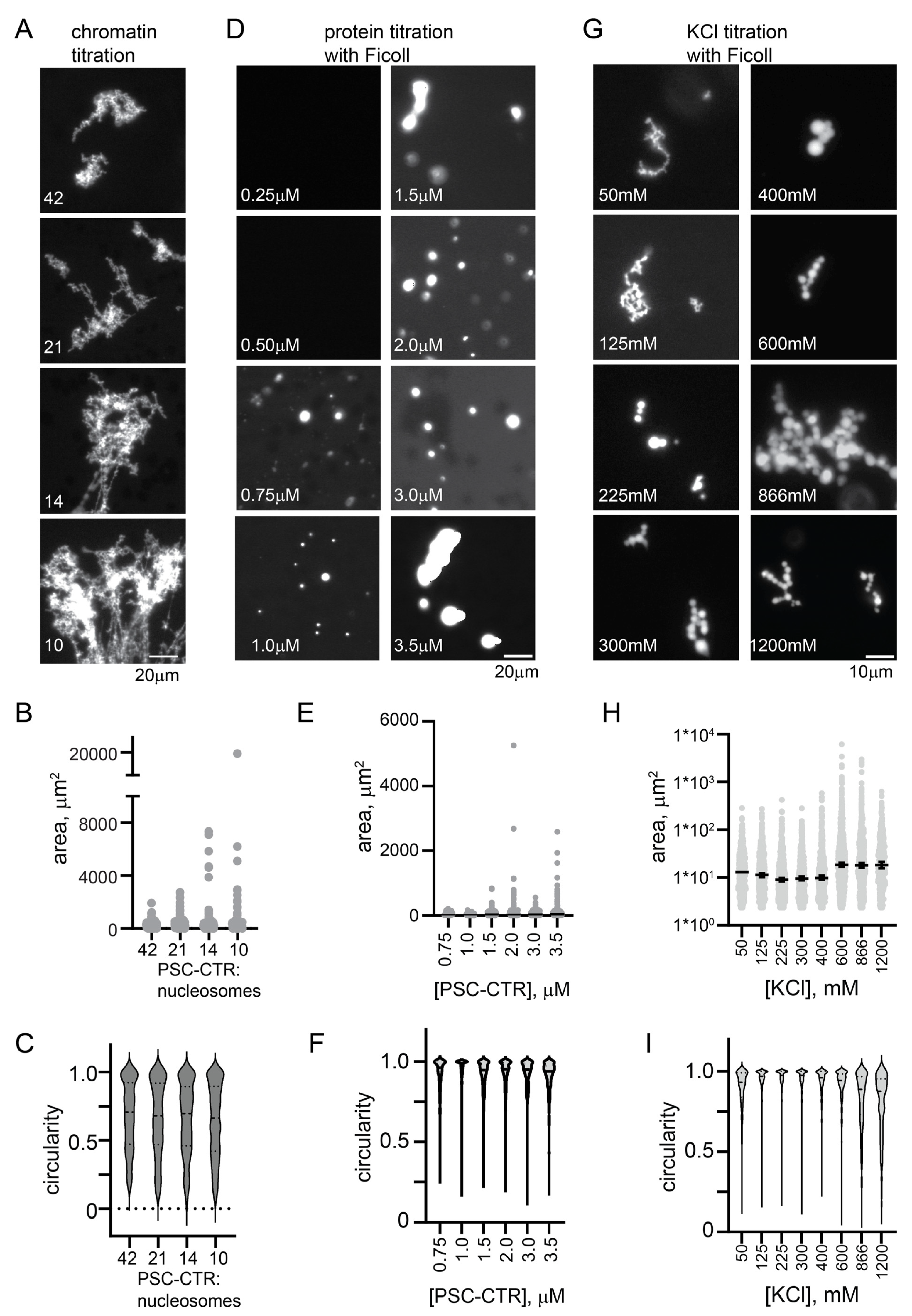 Molecules 29 00323 g004