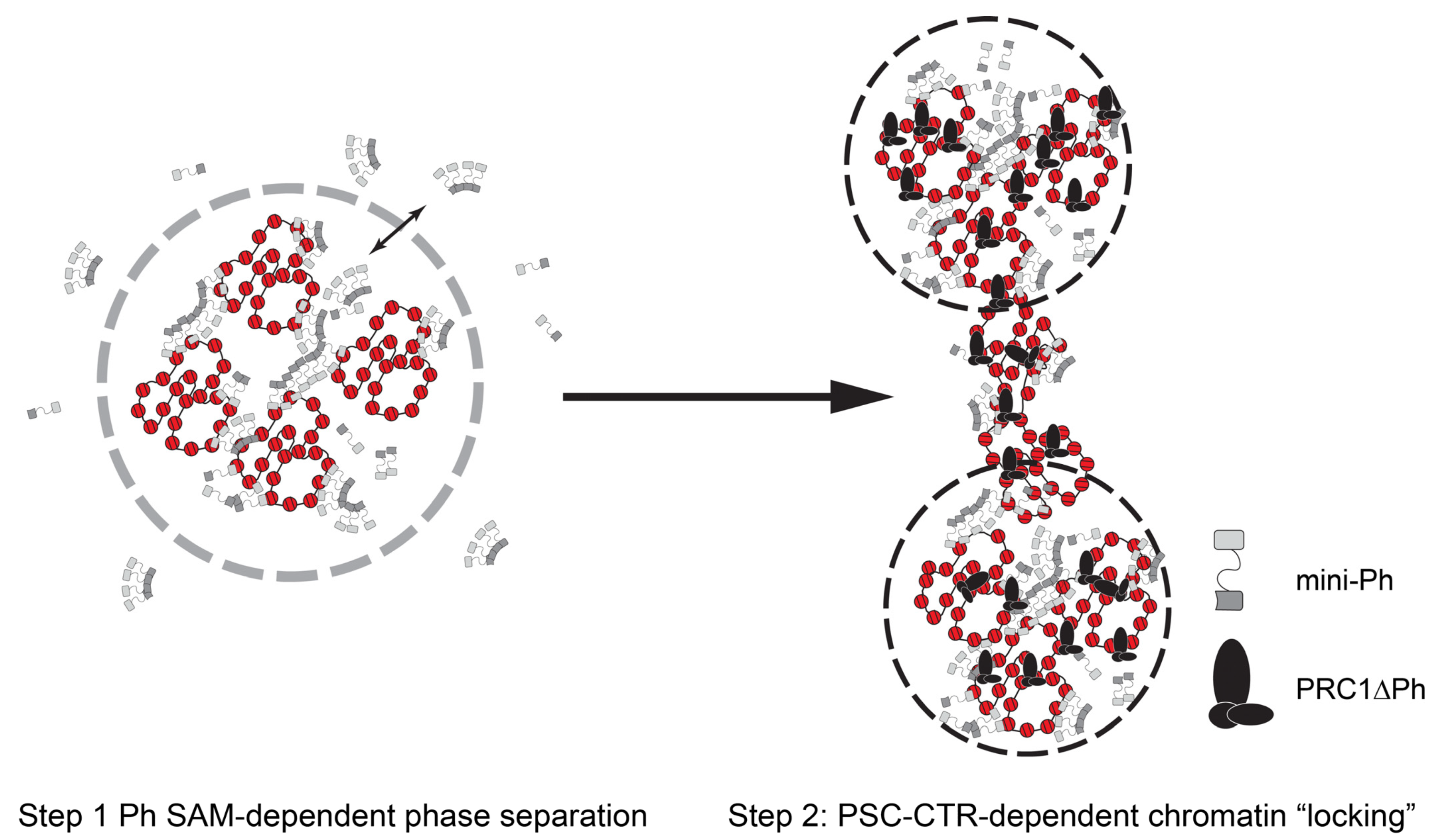 Molecules 29 00323 g008