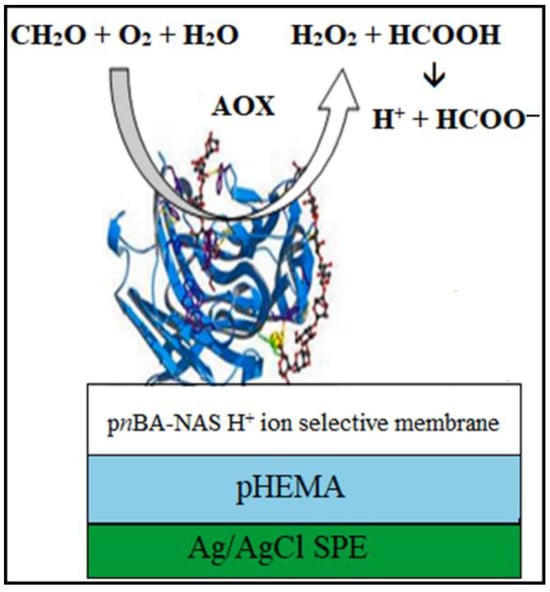 Molecules | Free Full-Text | Recent Advances in Electrochemical 