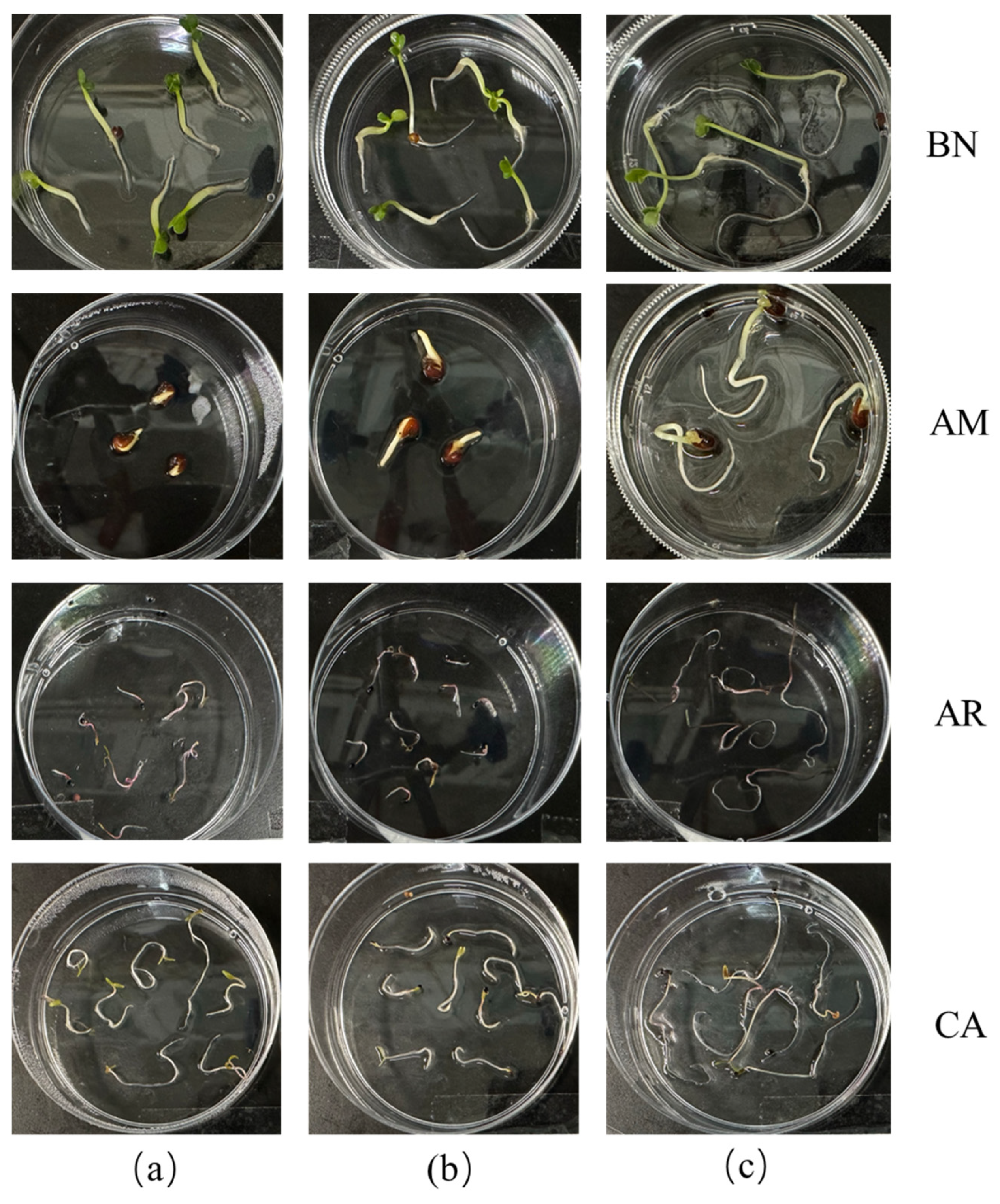 Molecules 29 00332 g007
