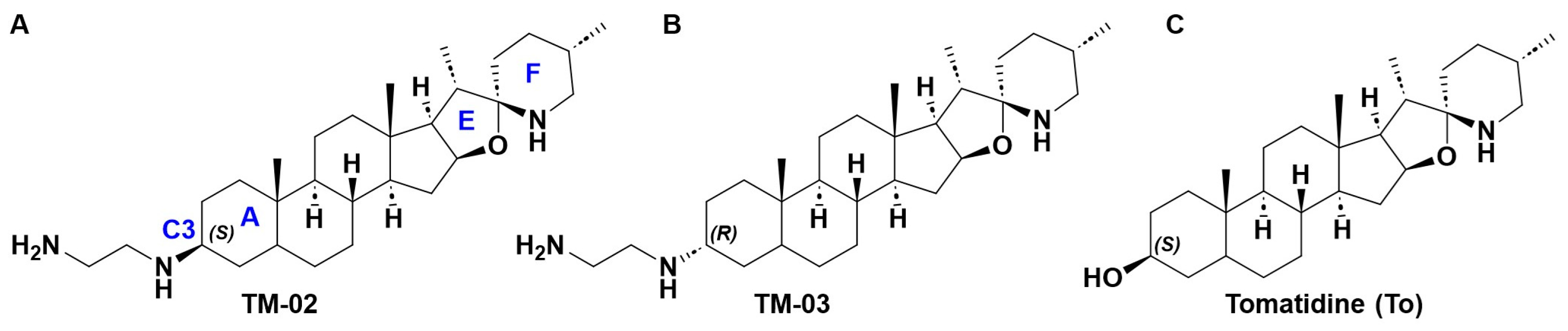 Molecules 29 00343 g001