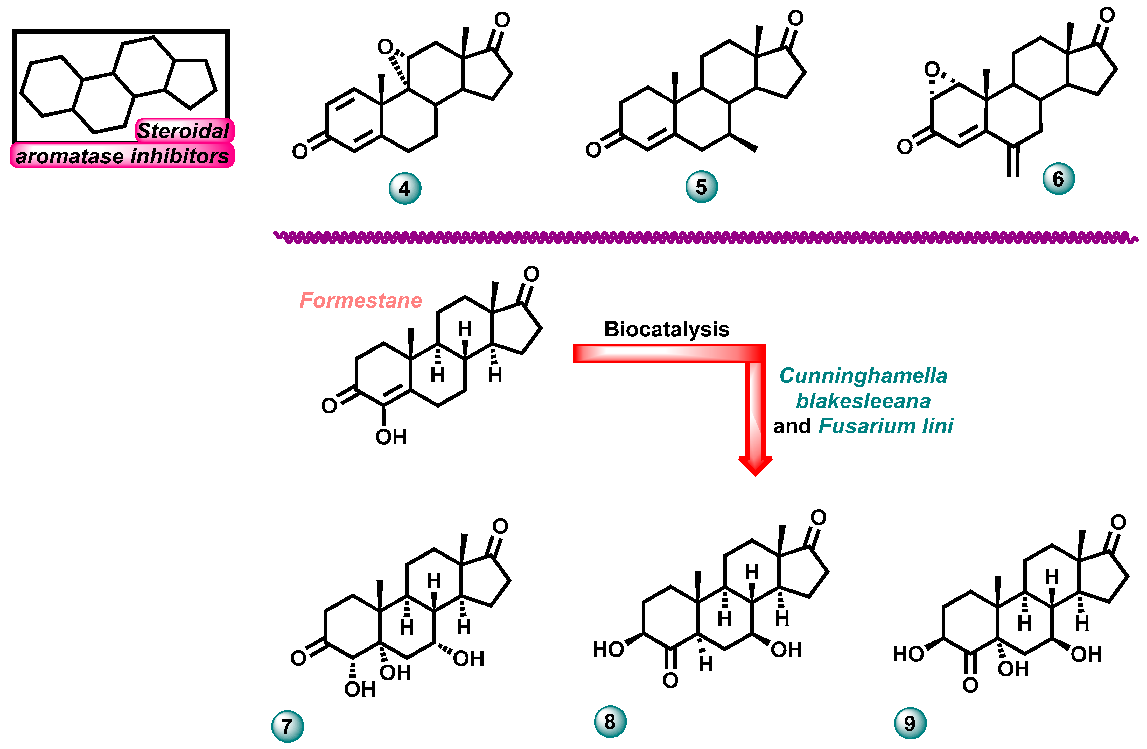 Molecules 29 00346 g004 Molecules 29 00346 g004
