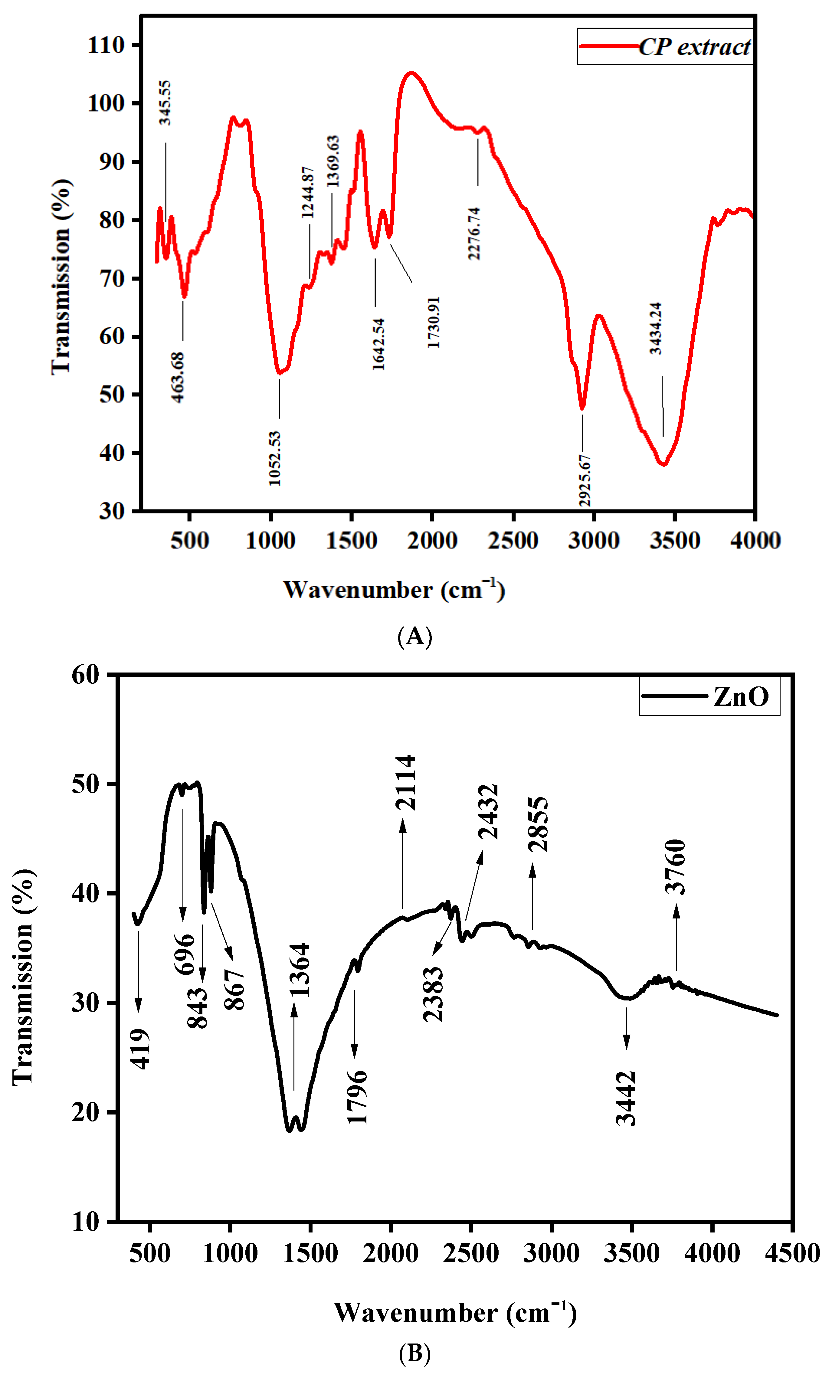 Molecules 29 00355 g005