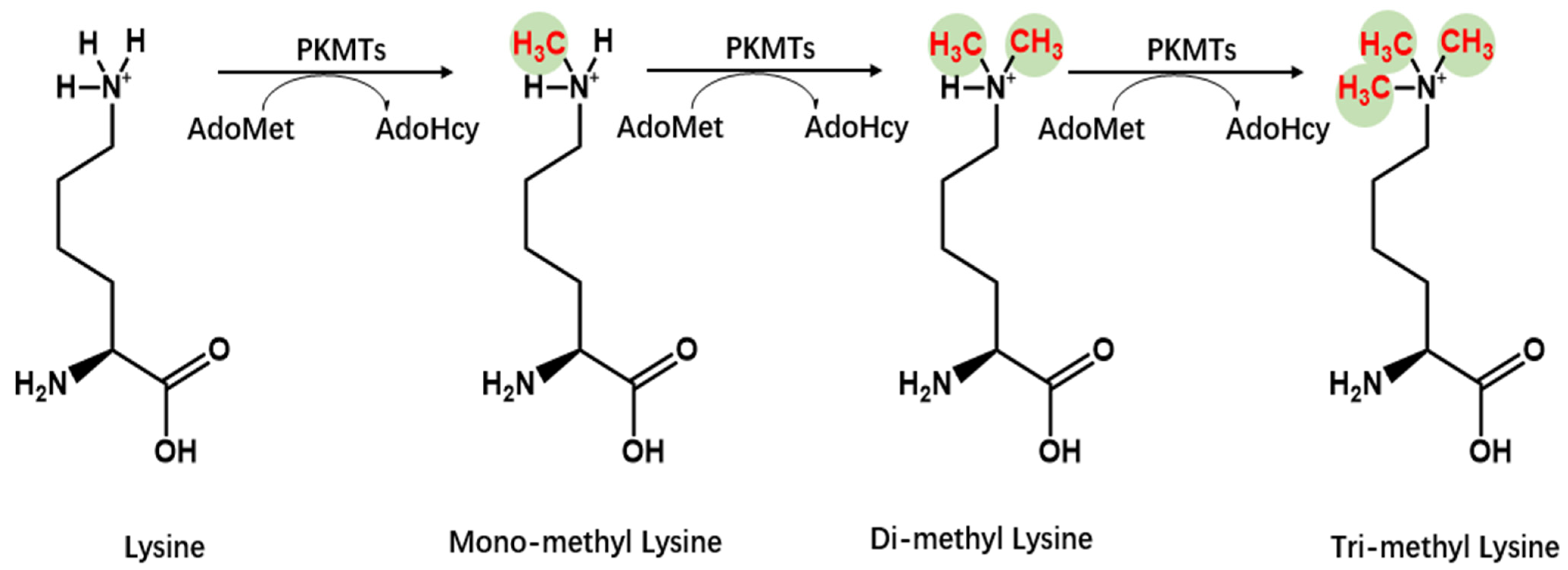 Molecules 29 00360 g003 Molecules 29 00360 g003