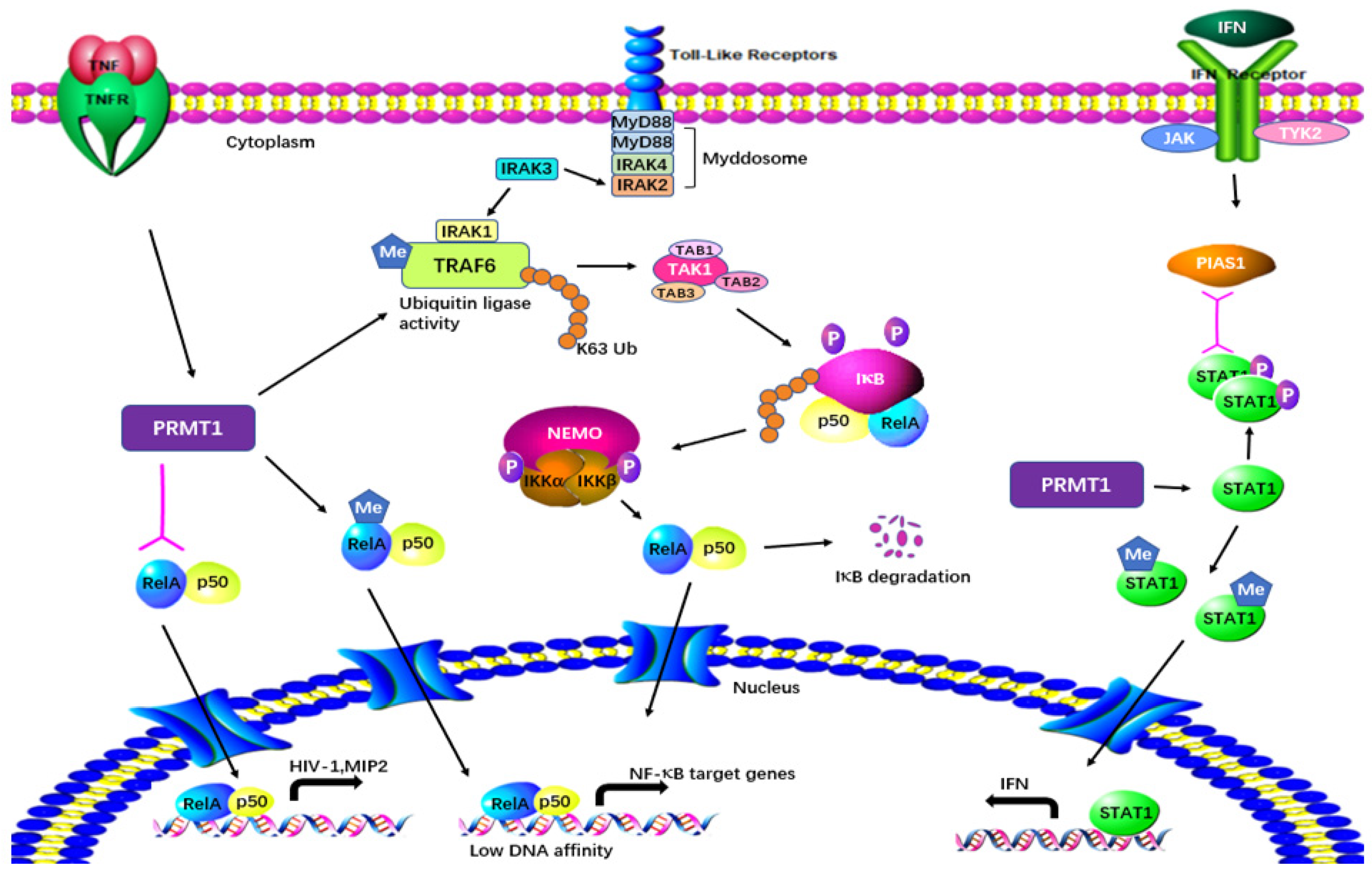 Molecules 29 00360 g006 Molecules 29 00360 g006