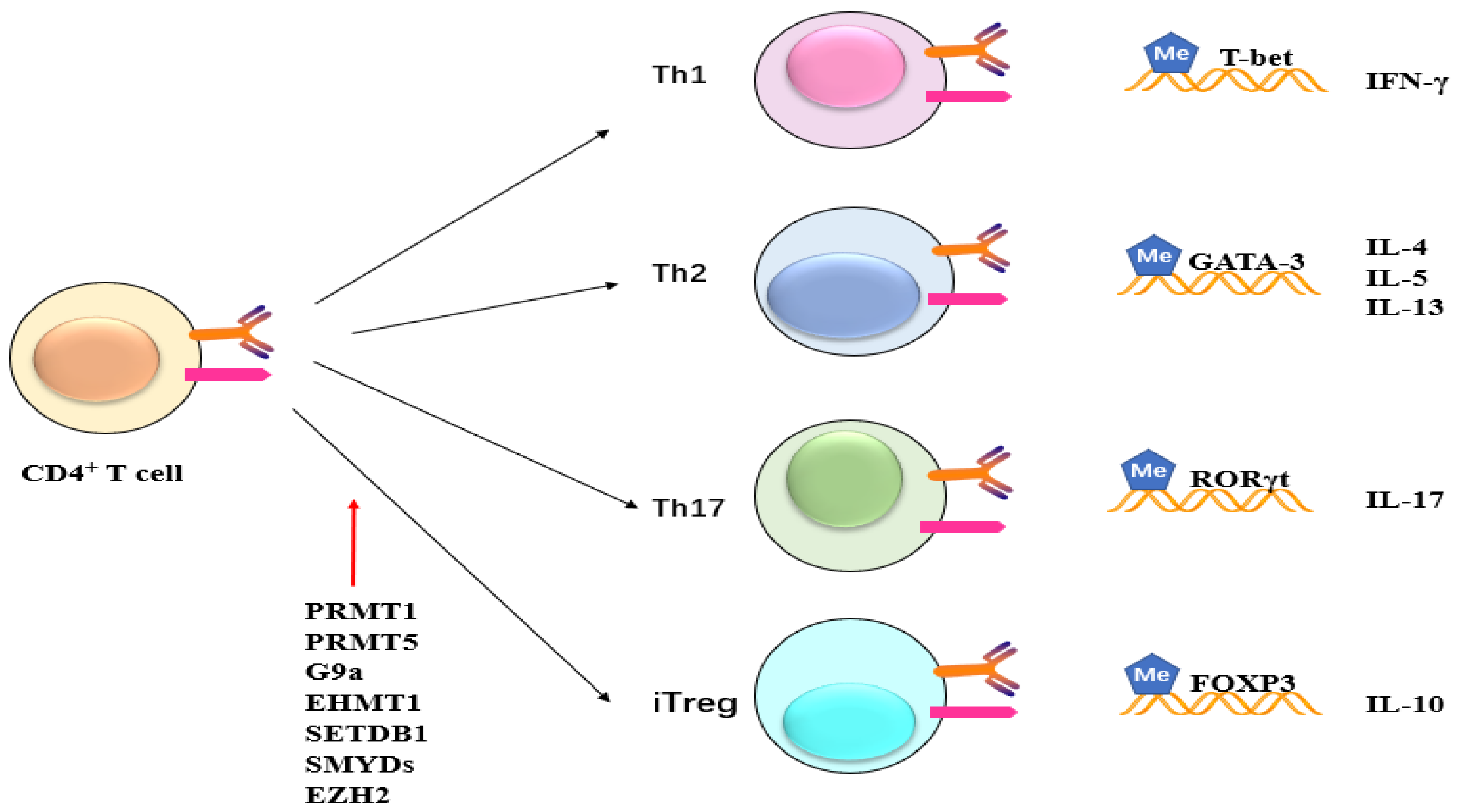 Molecules 29 00360 g007 Molecules 29 00360 g007