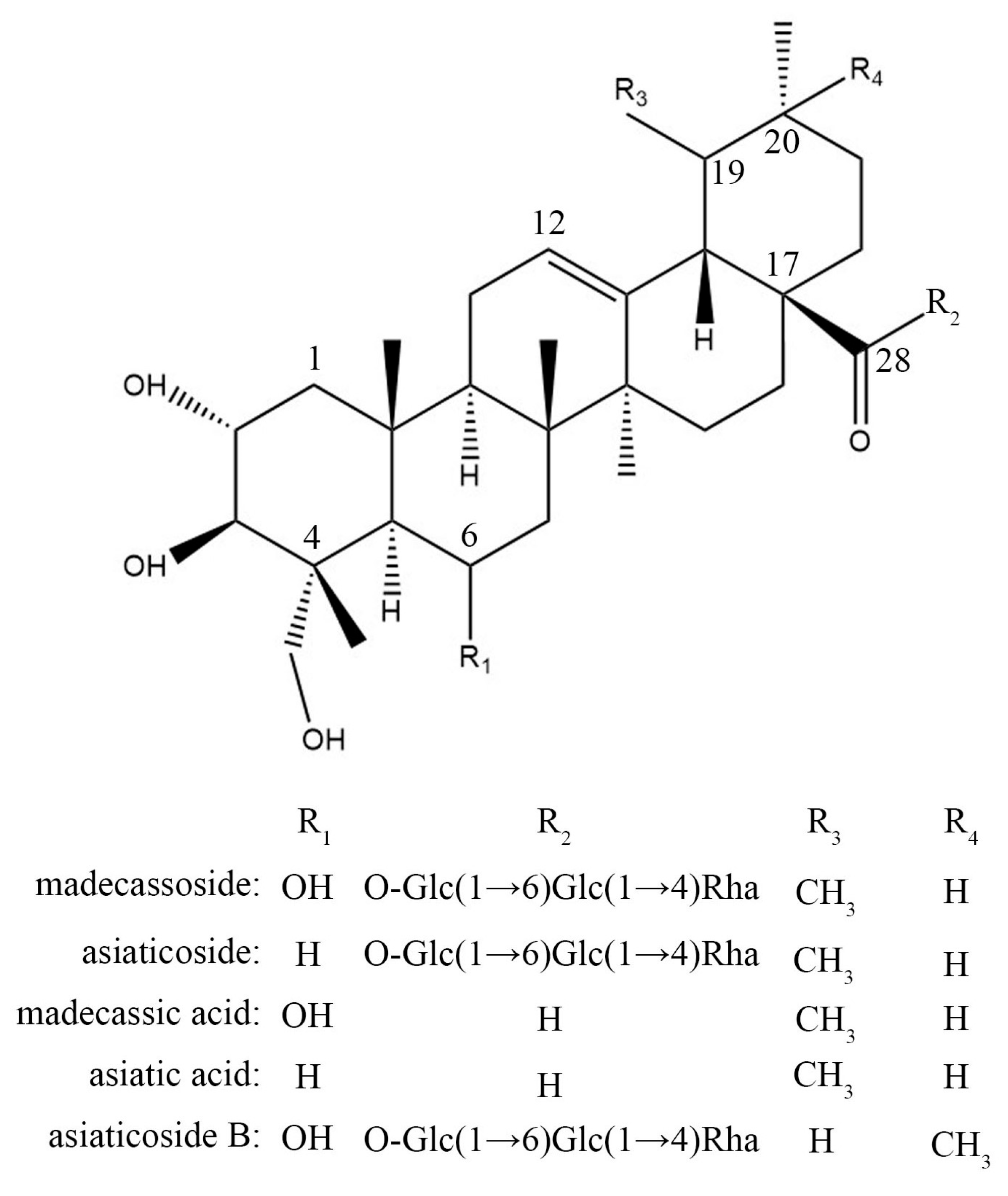 Molecules 29 00362 g003