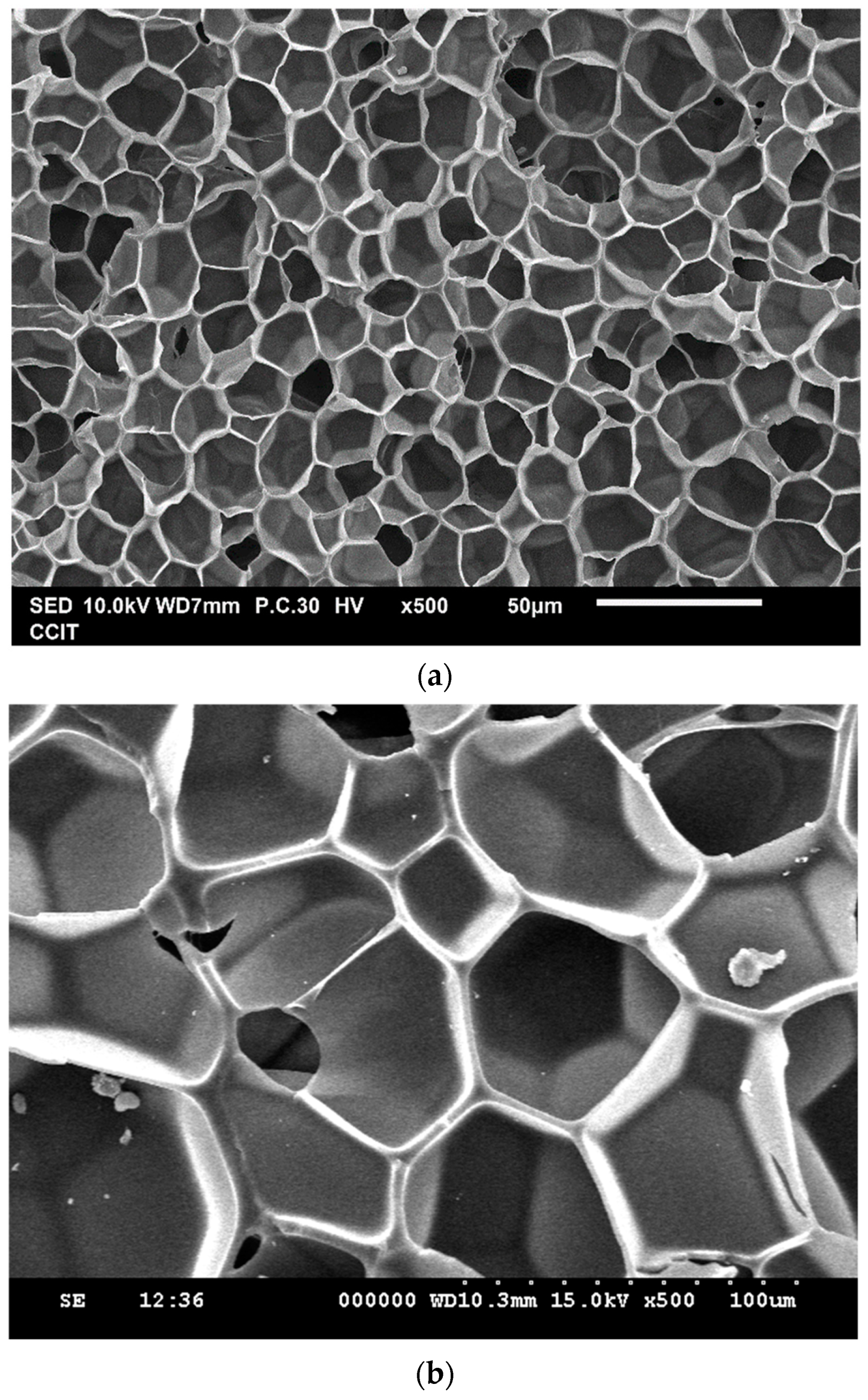 Molecules 29 00363 g002