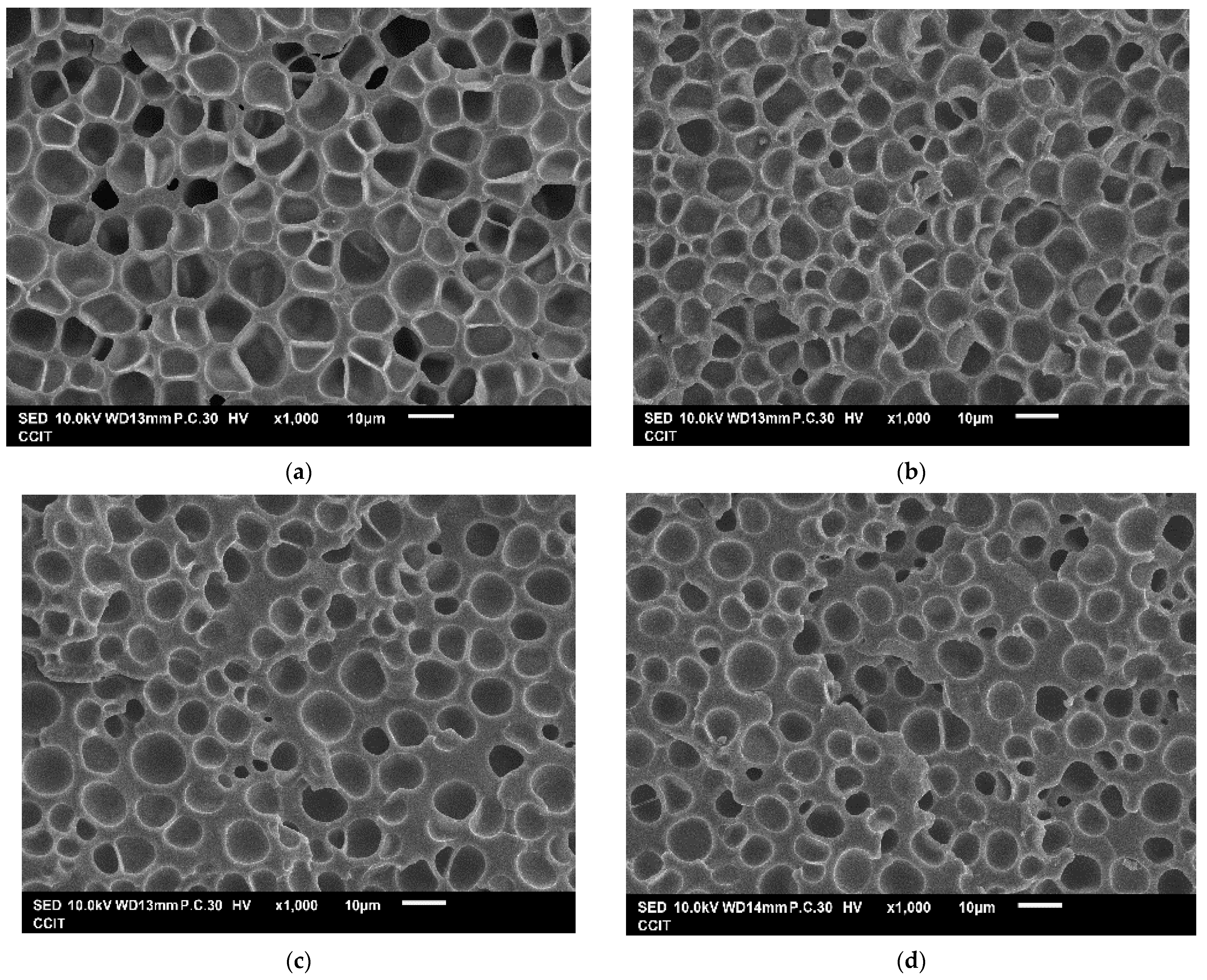 Molecules 29 00363 g003a