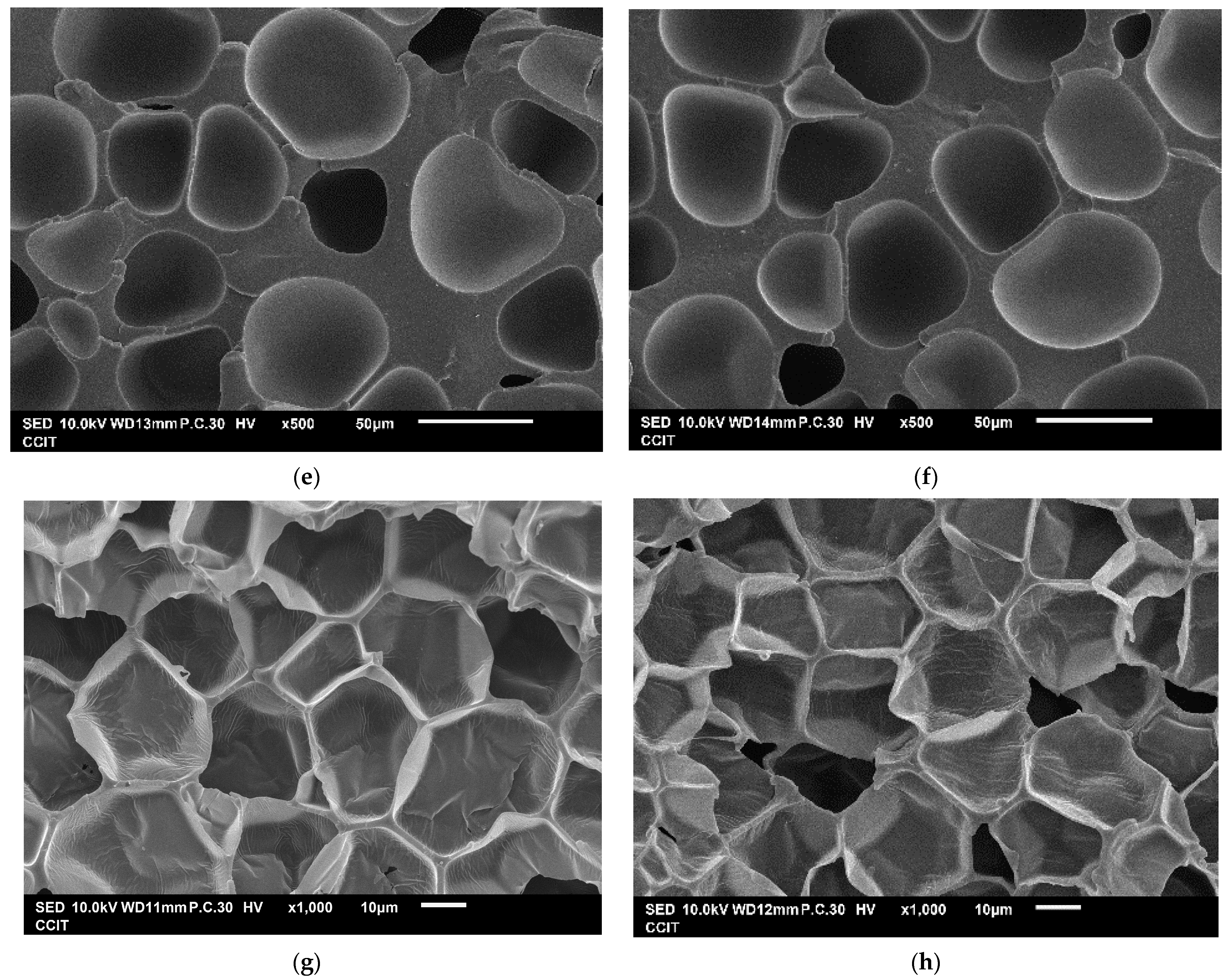 Molecules 29 00363 g003b