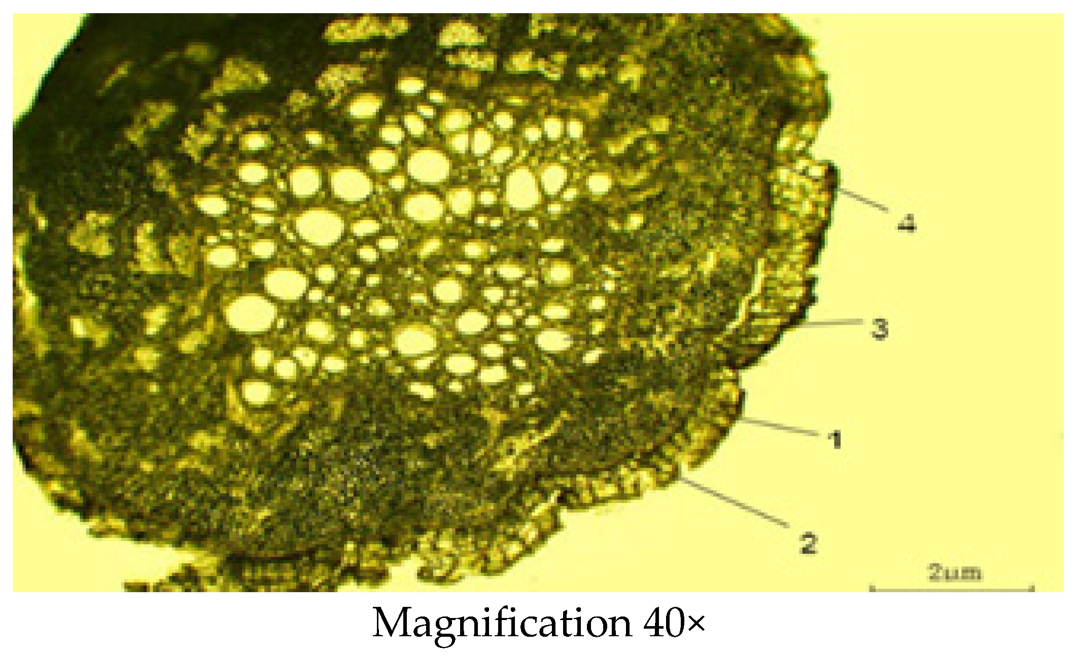 Molecules 29 00384 g007