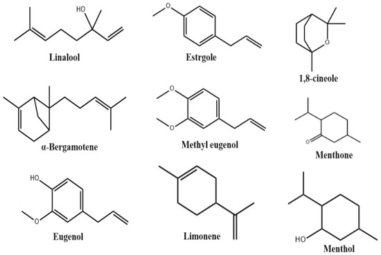 Molecules Free Full Text Antimicrobial and Other