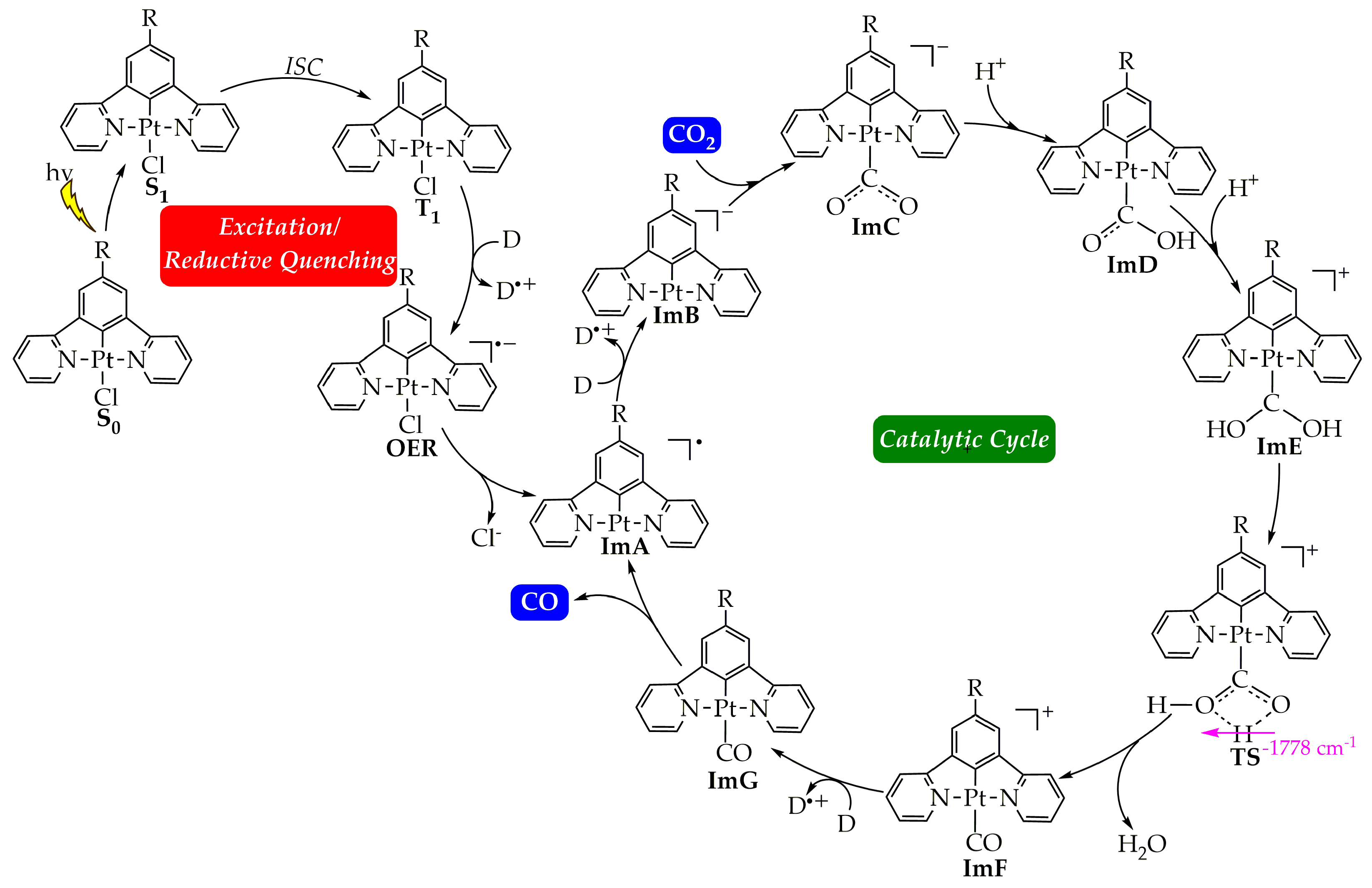 Molecules 29 00403 g001 Molecules 29 00403 g001