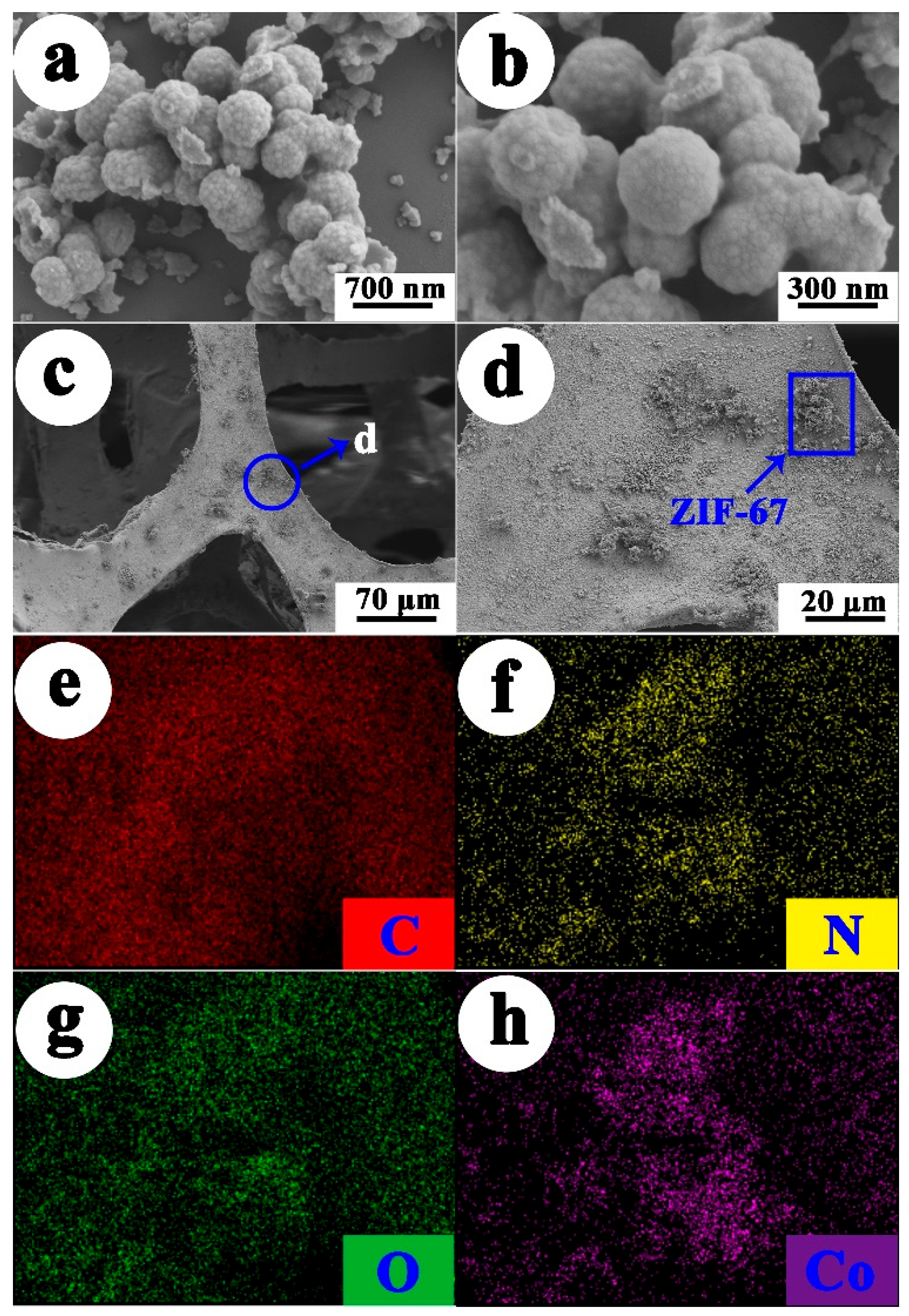 Molecules 29 00408 g002