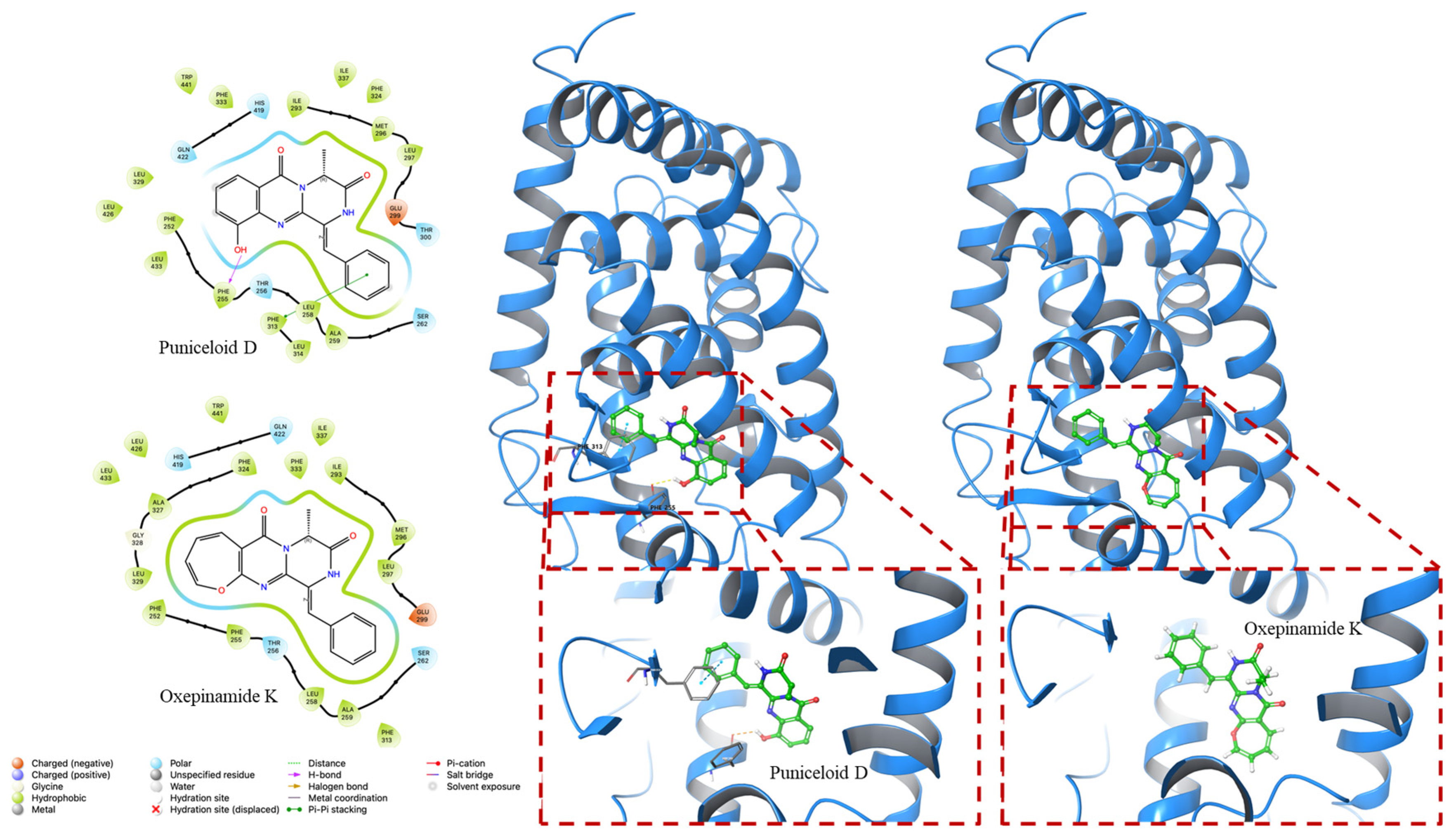 Molecules 29 00416 g005