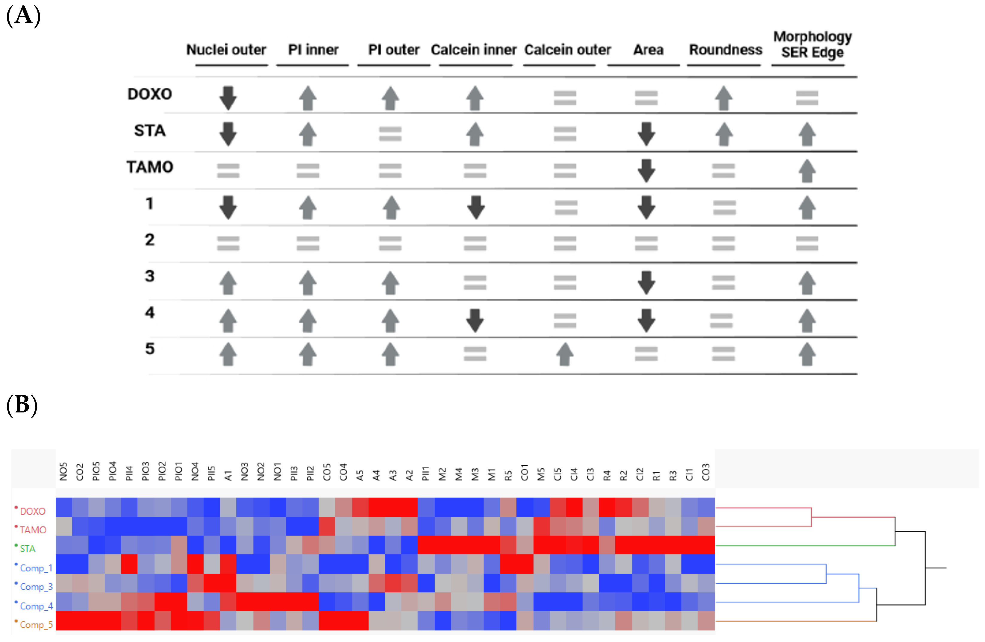 Molecules 29 00425 g006