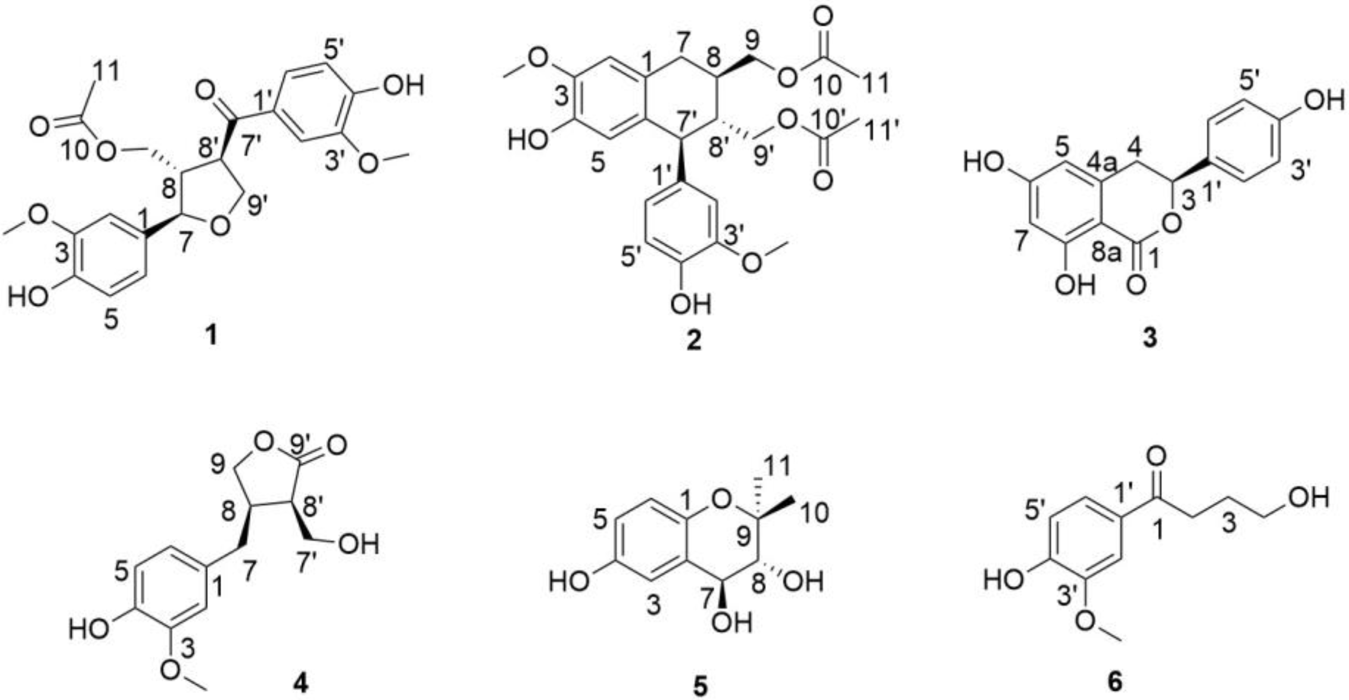 Molecules 29 00432 g004