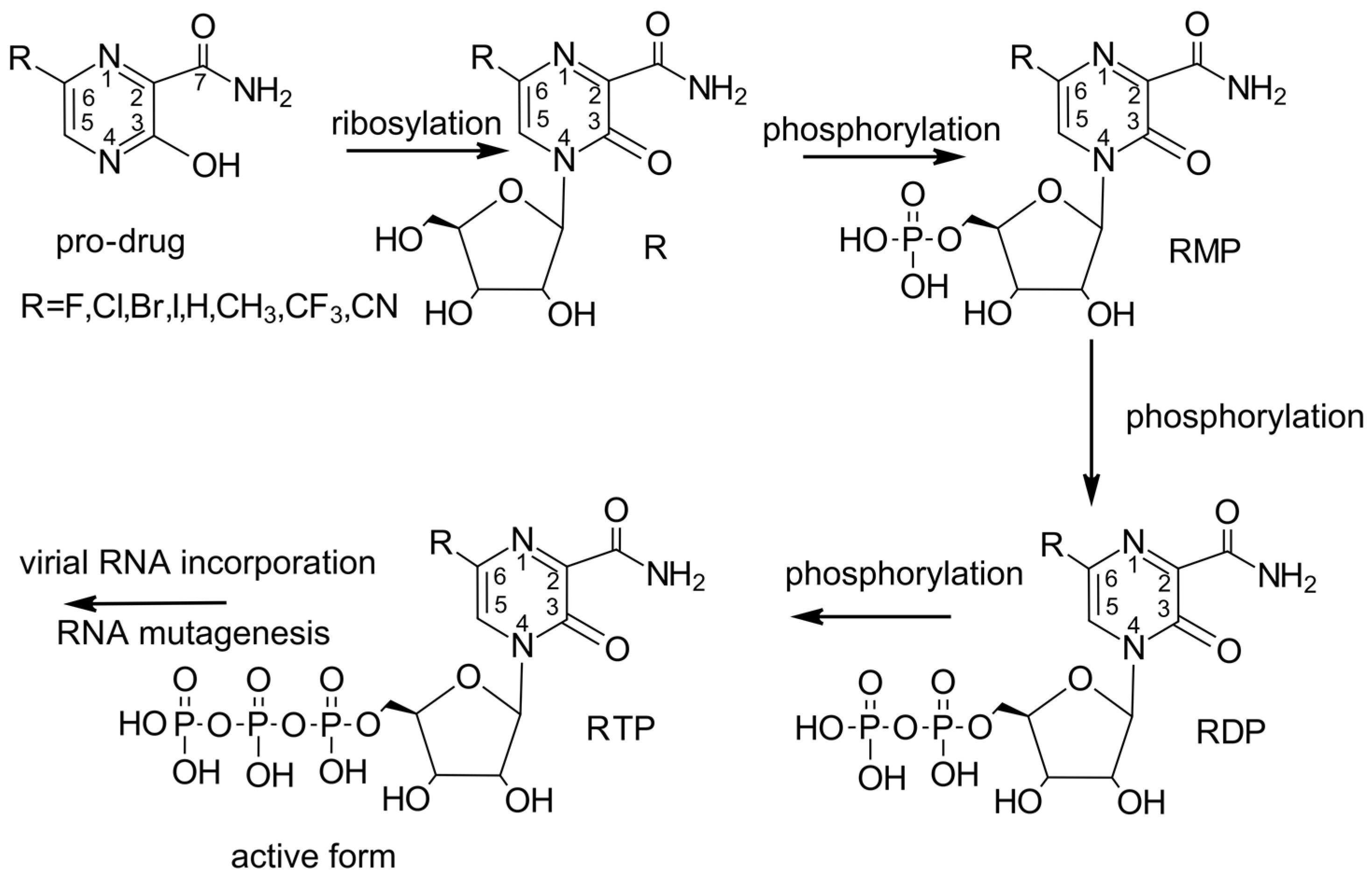 Molecules 29 00441 g002 Molecules 29 00441 g002