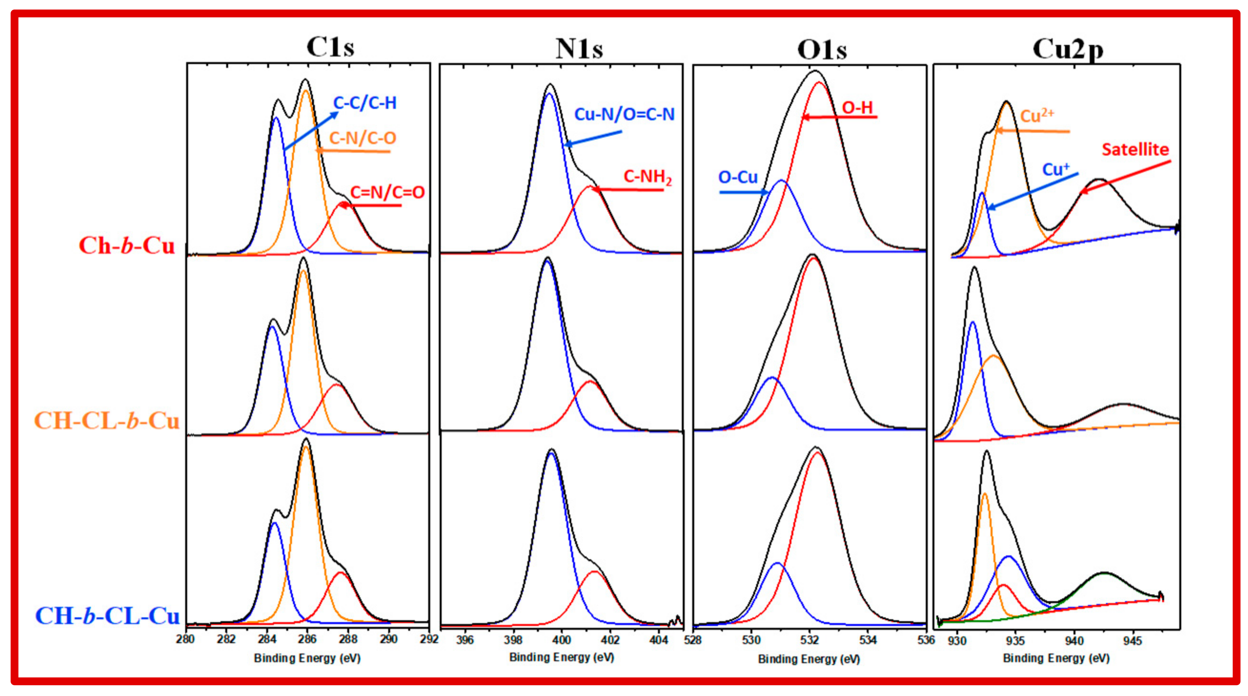 Molecules 29 00445 g005