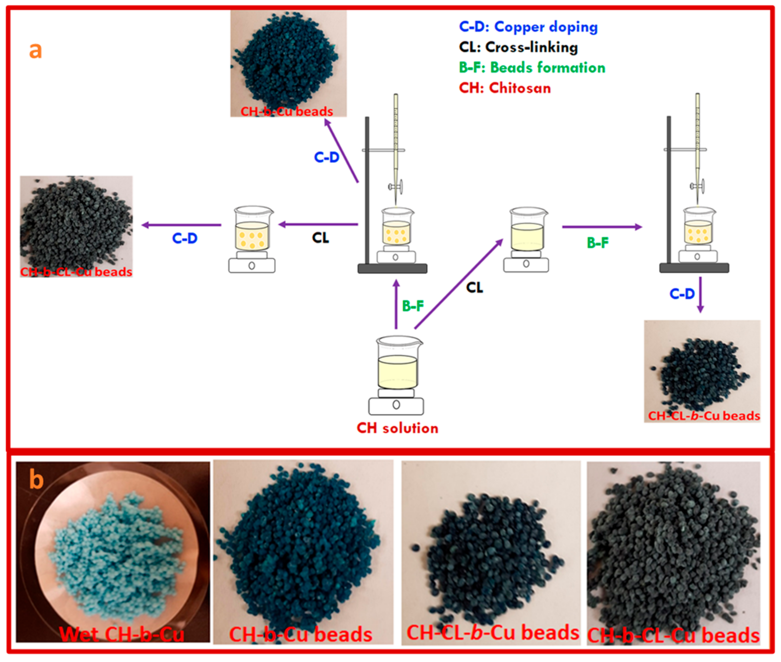 Molecules 29 00445 sch001
