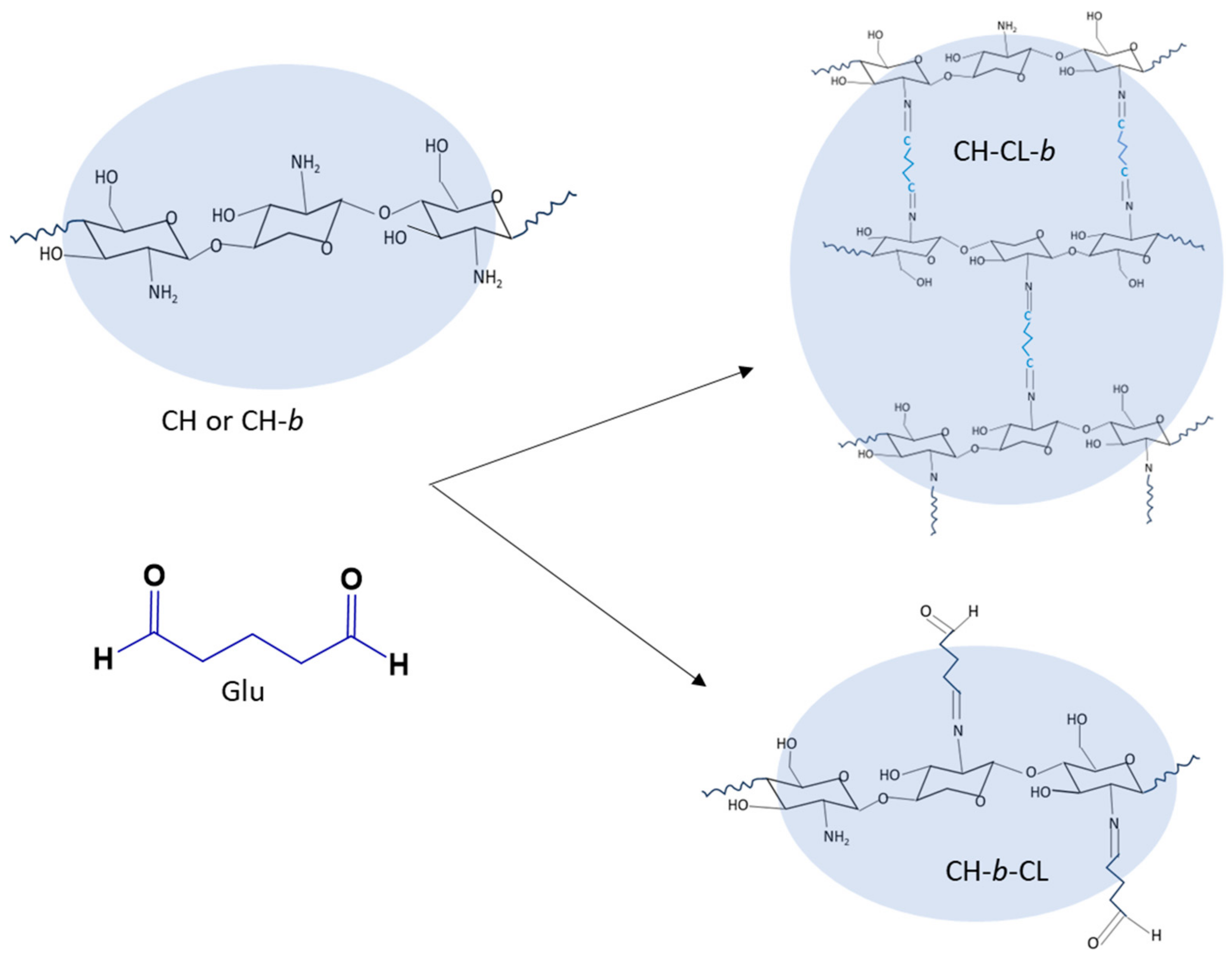 Molecules 29 00445 sch002