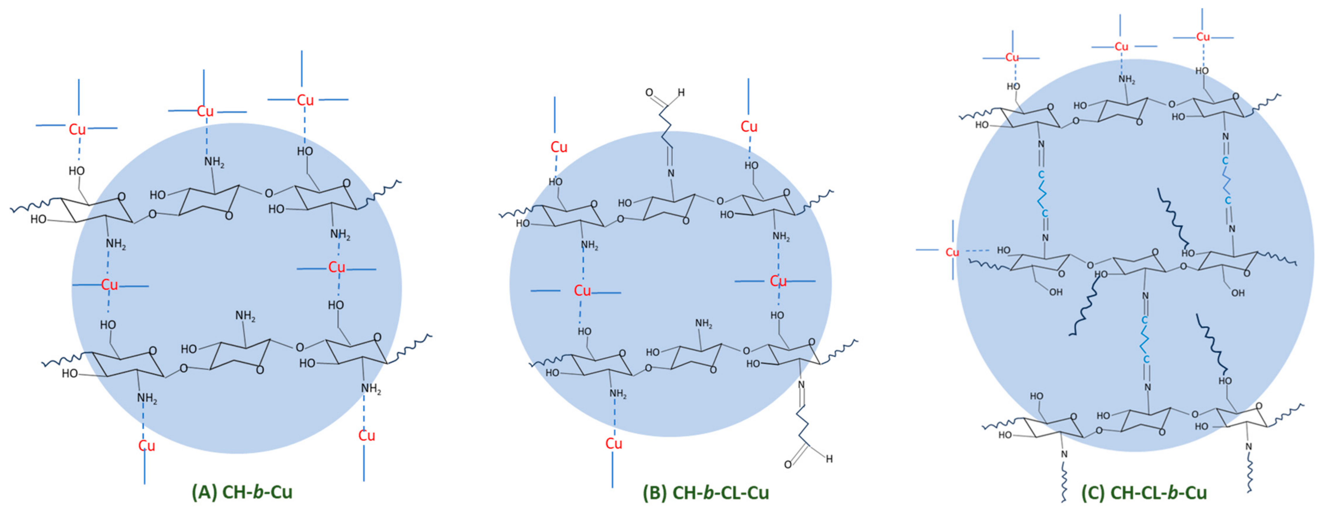Molecules 29 00445 sch003