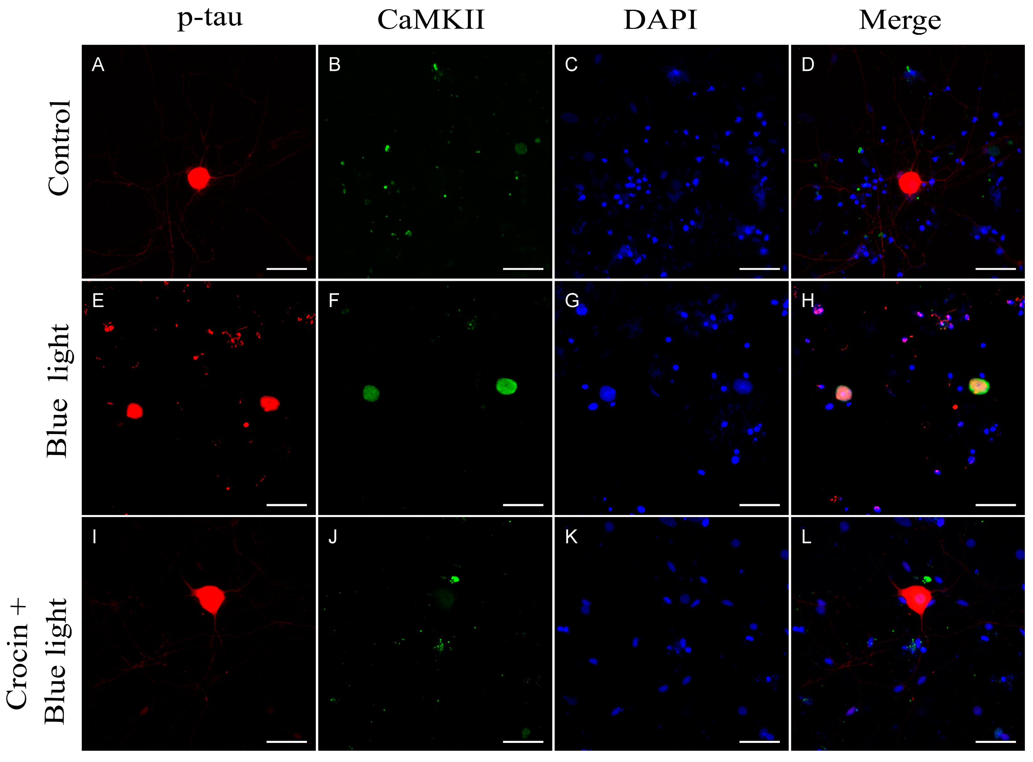 Molecules 29 00456 g007