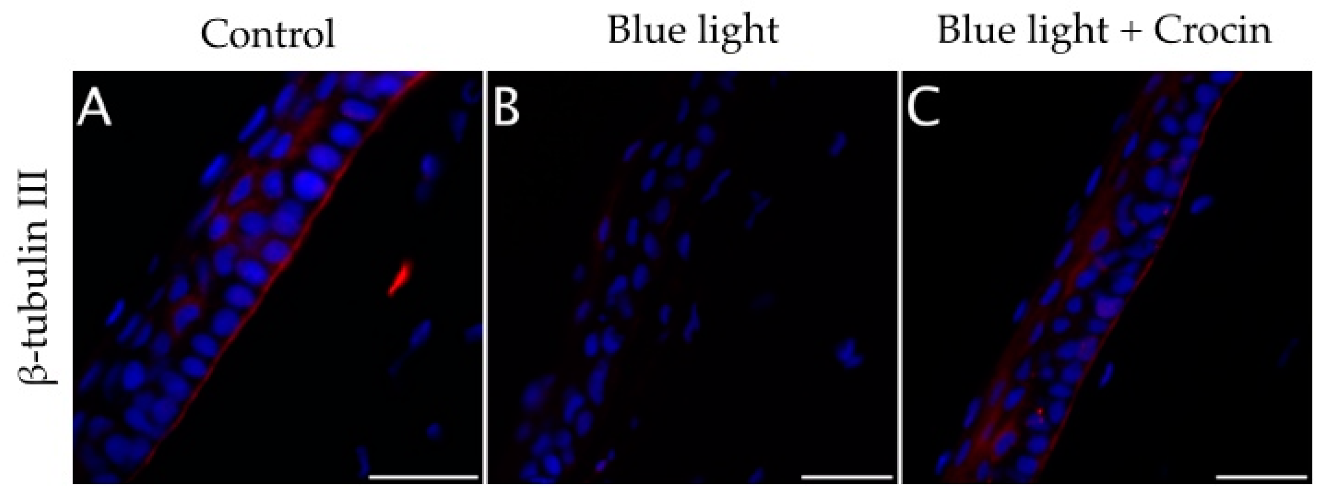 Molecules 29 00456 g012