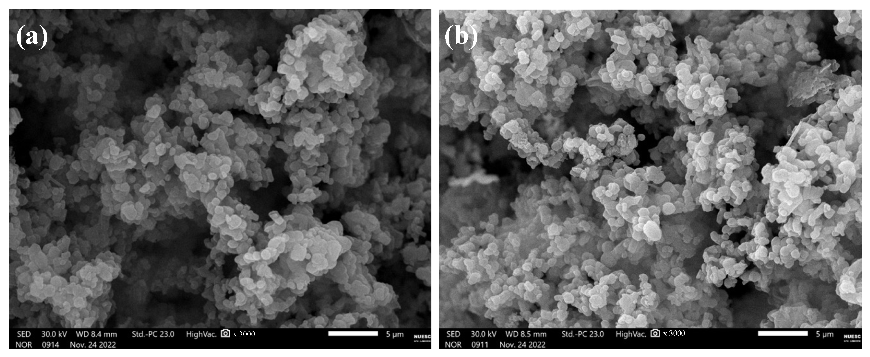 SEM images of the synthesized silica materials; (a) Stӧber, (b) MCM-41c