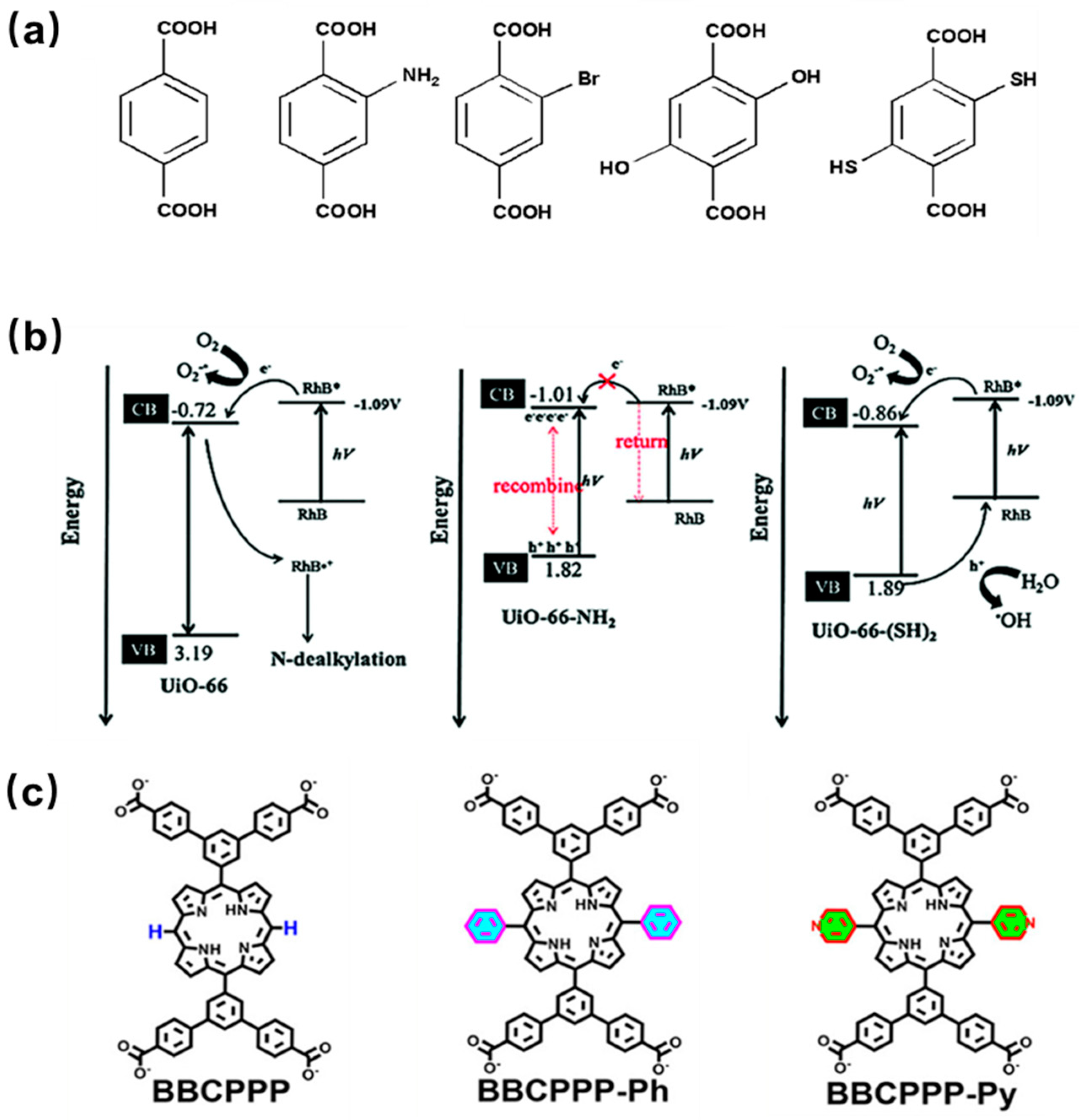 Molecules 29 00467 g005