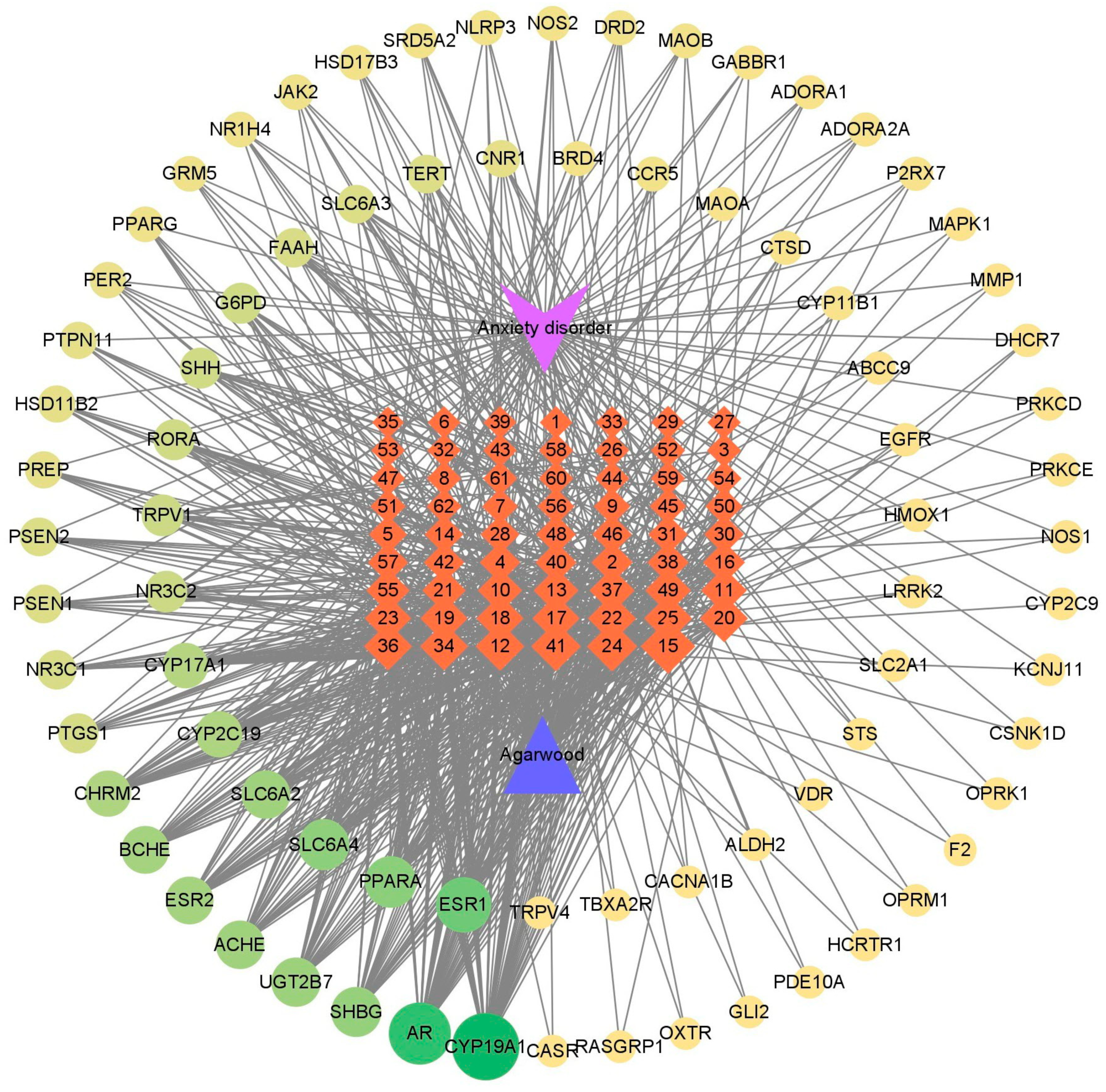 Molecules 29 00468 g003