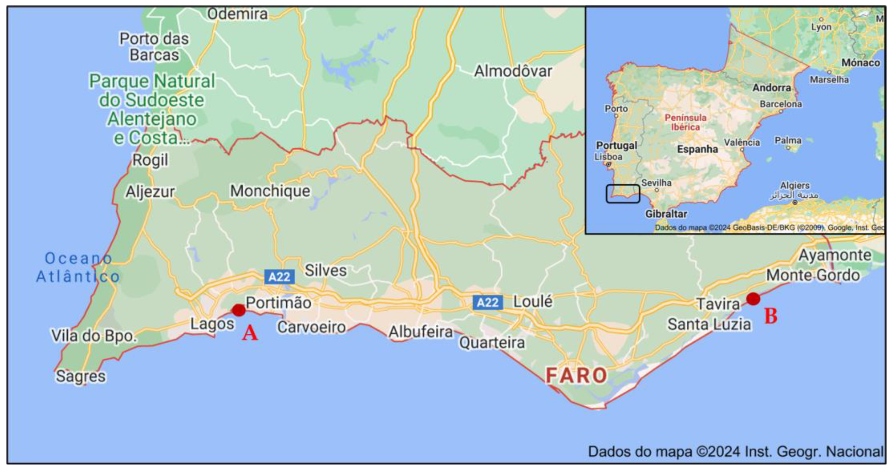 Molecules 29 00481 g006