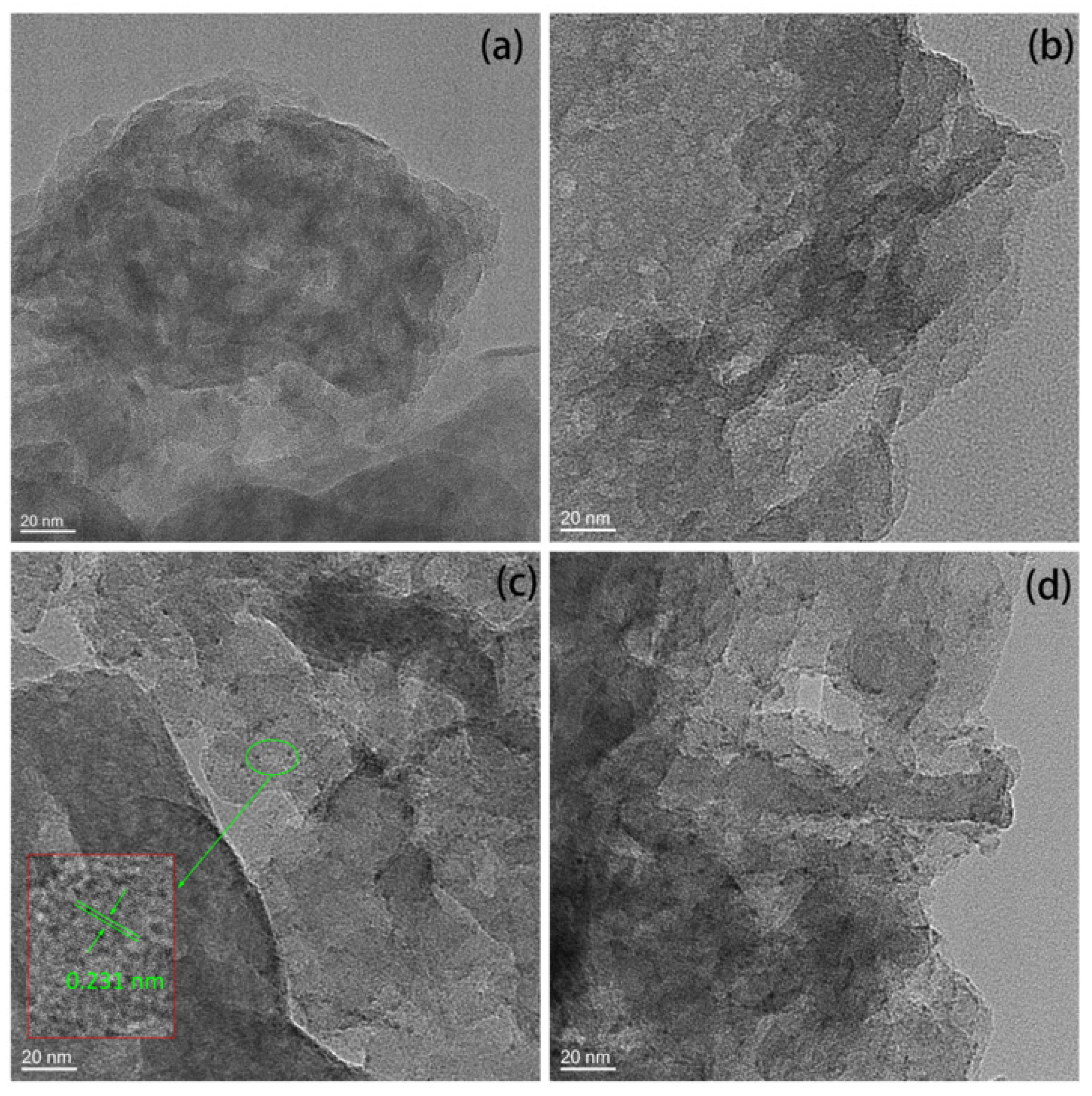 Molecules 29 00493 g003
