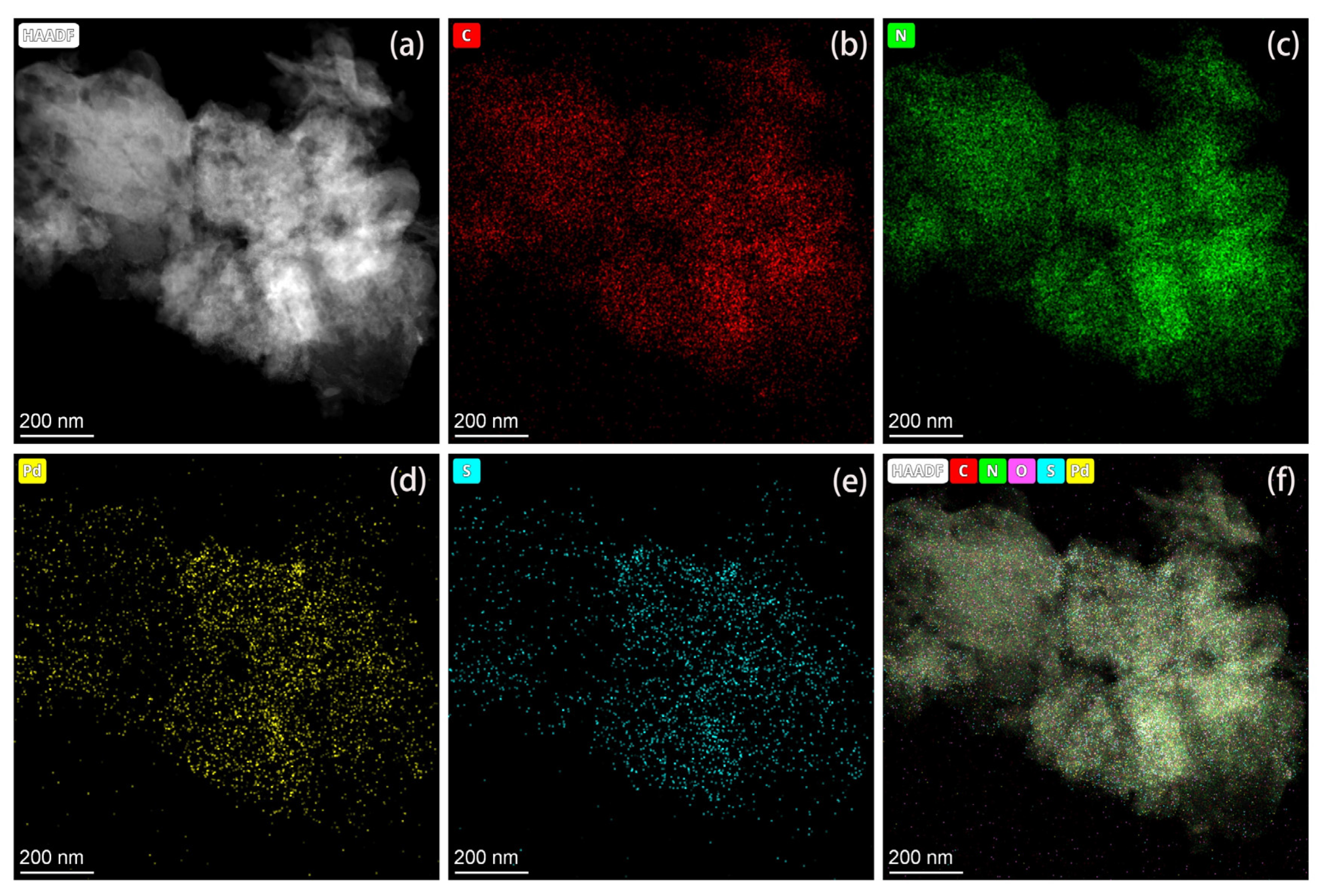 Molecules 29 00493 g004