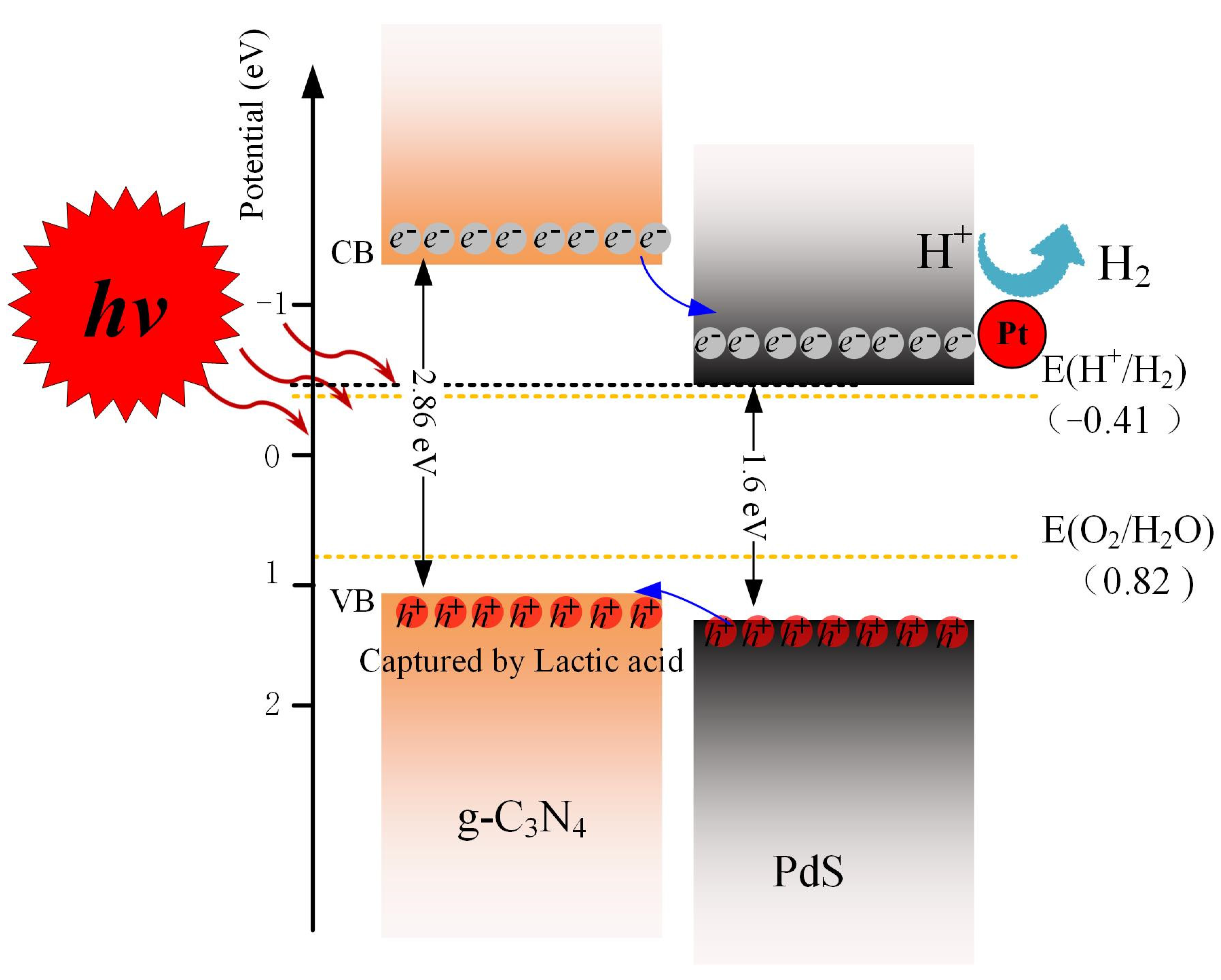 Molecules 29 00493 g012