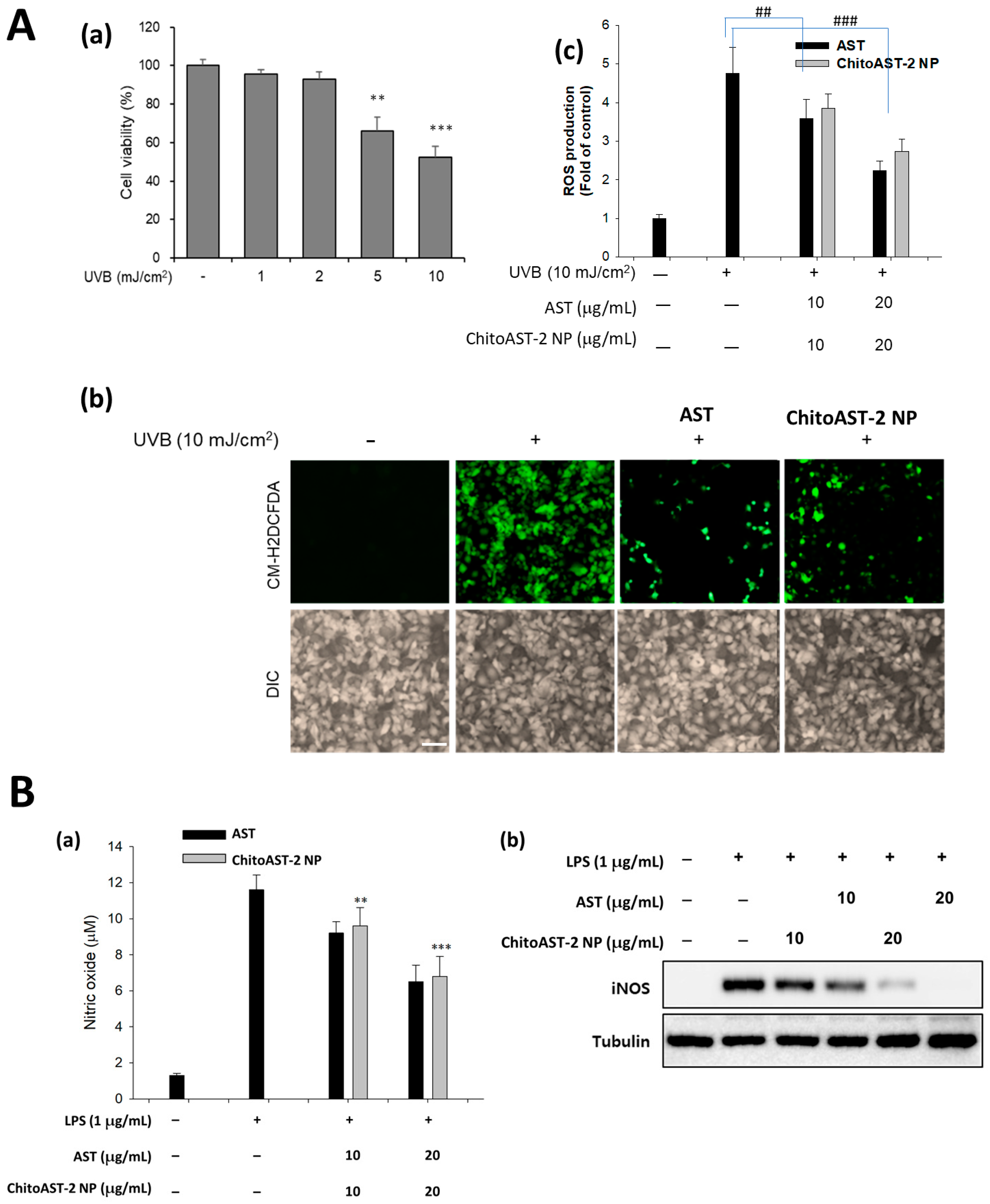 Molecules 29 00529 g005