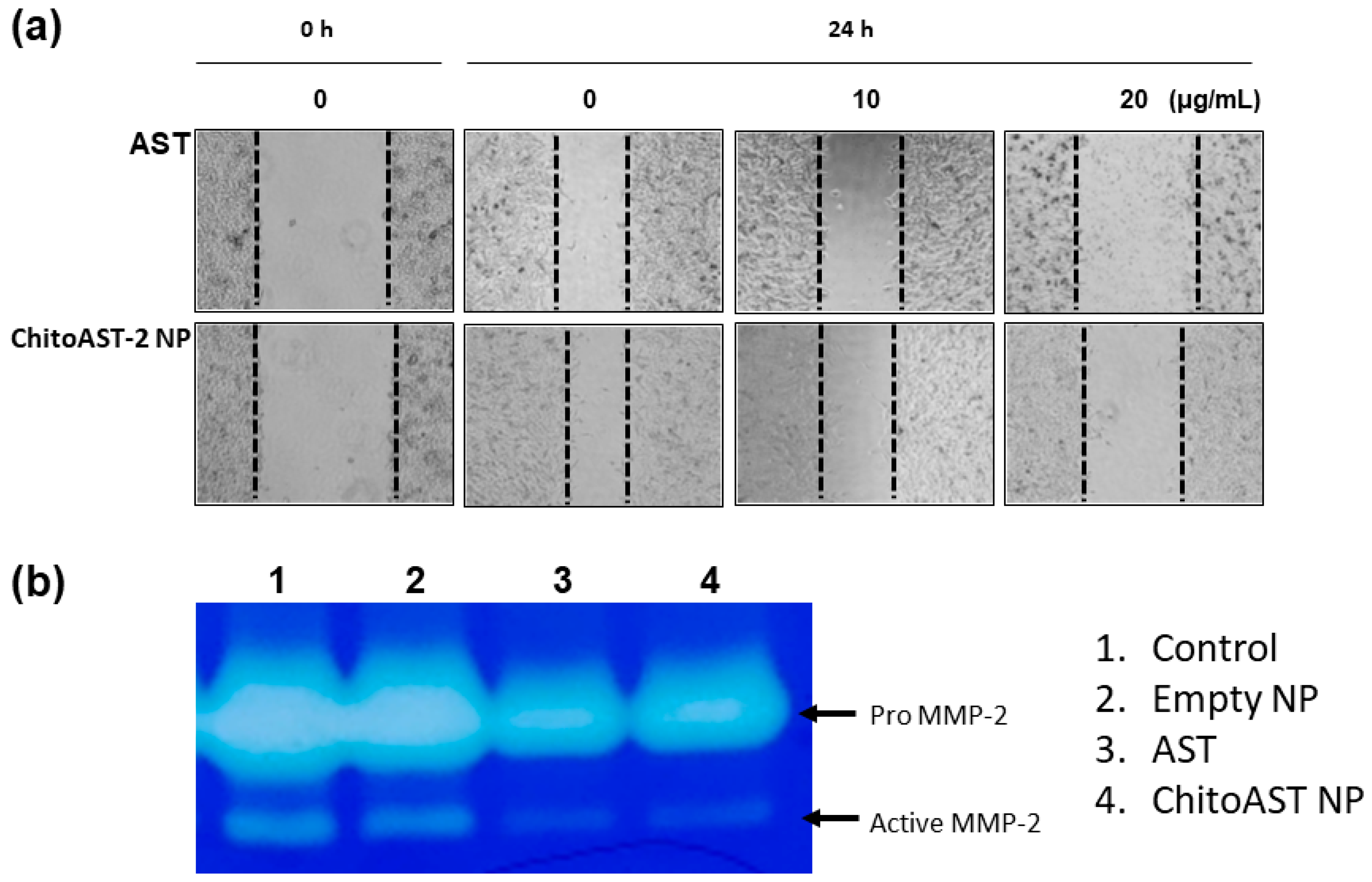 Molecules 29 00529 g007