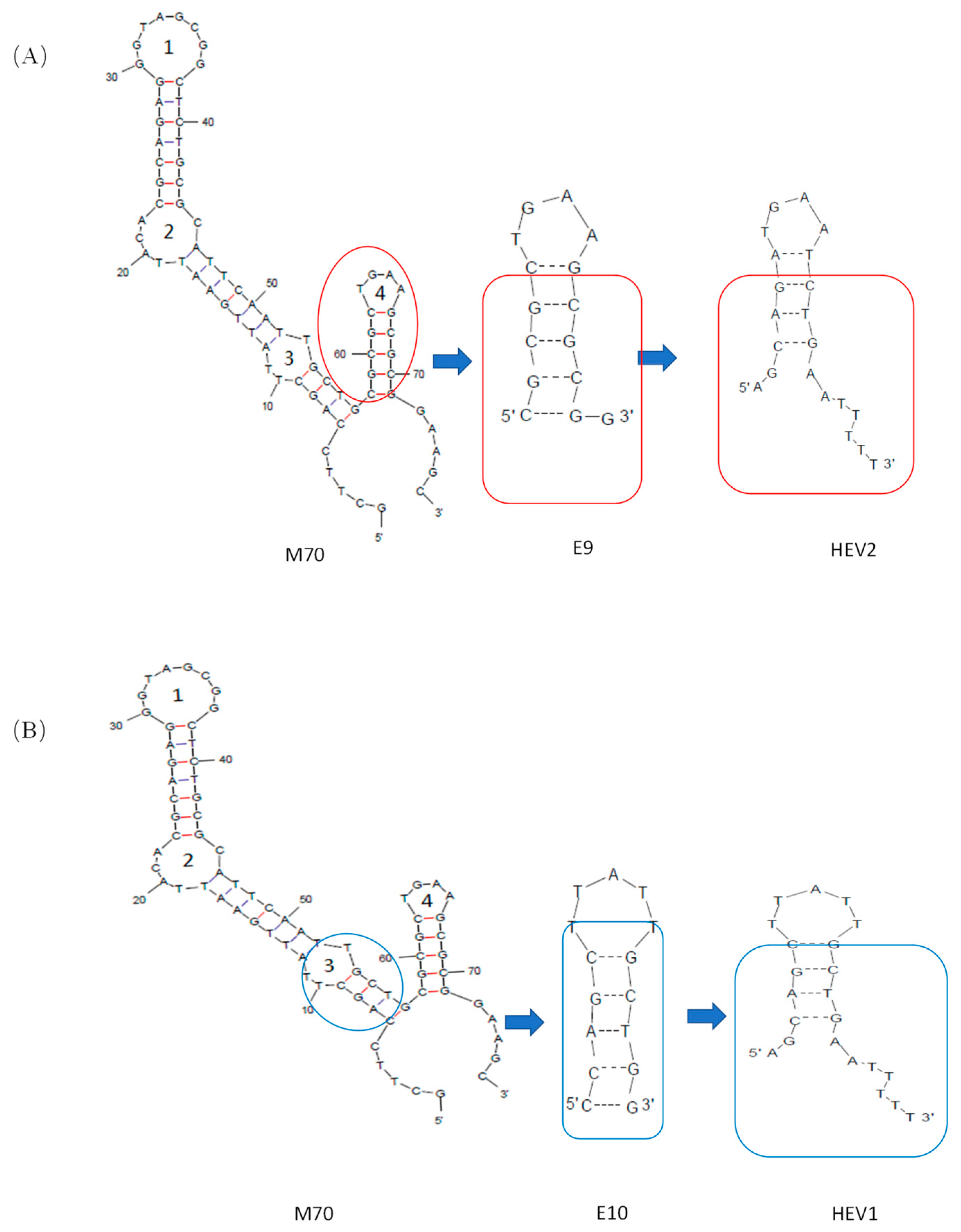 Molecules 29 00535 g007 Molecules 29 00535 g007