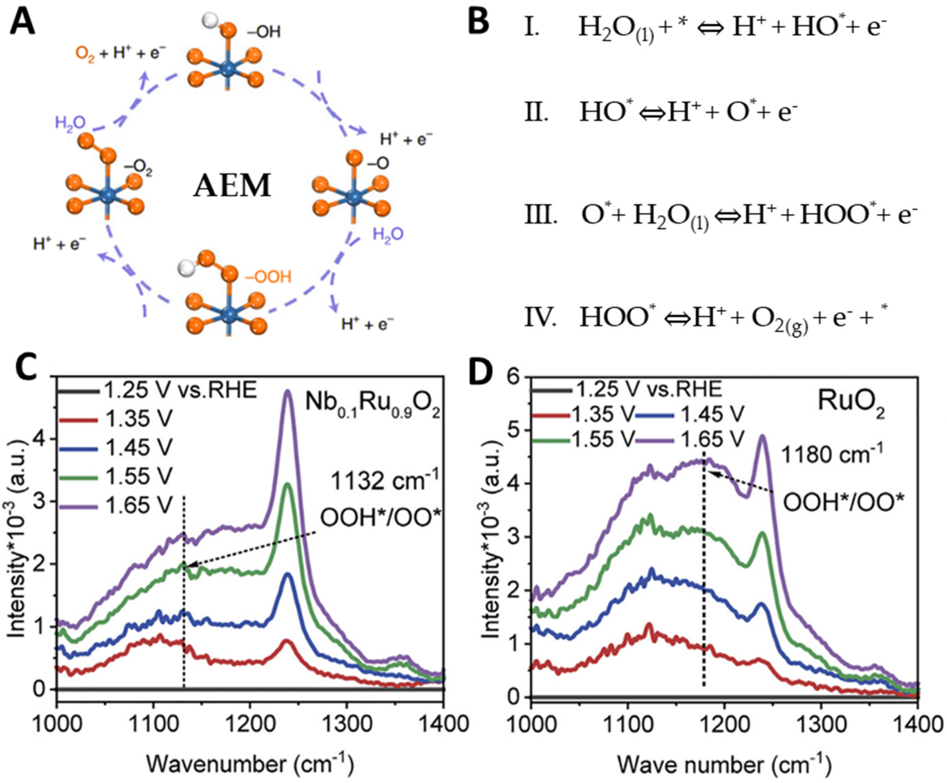 Molecules 29 00537 g002