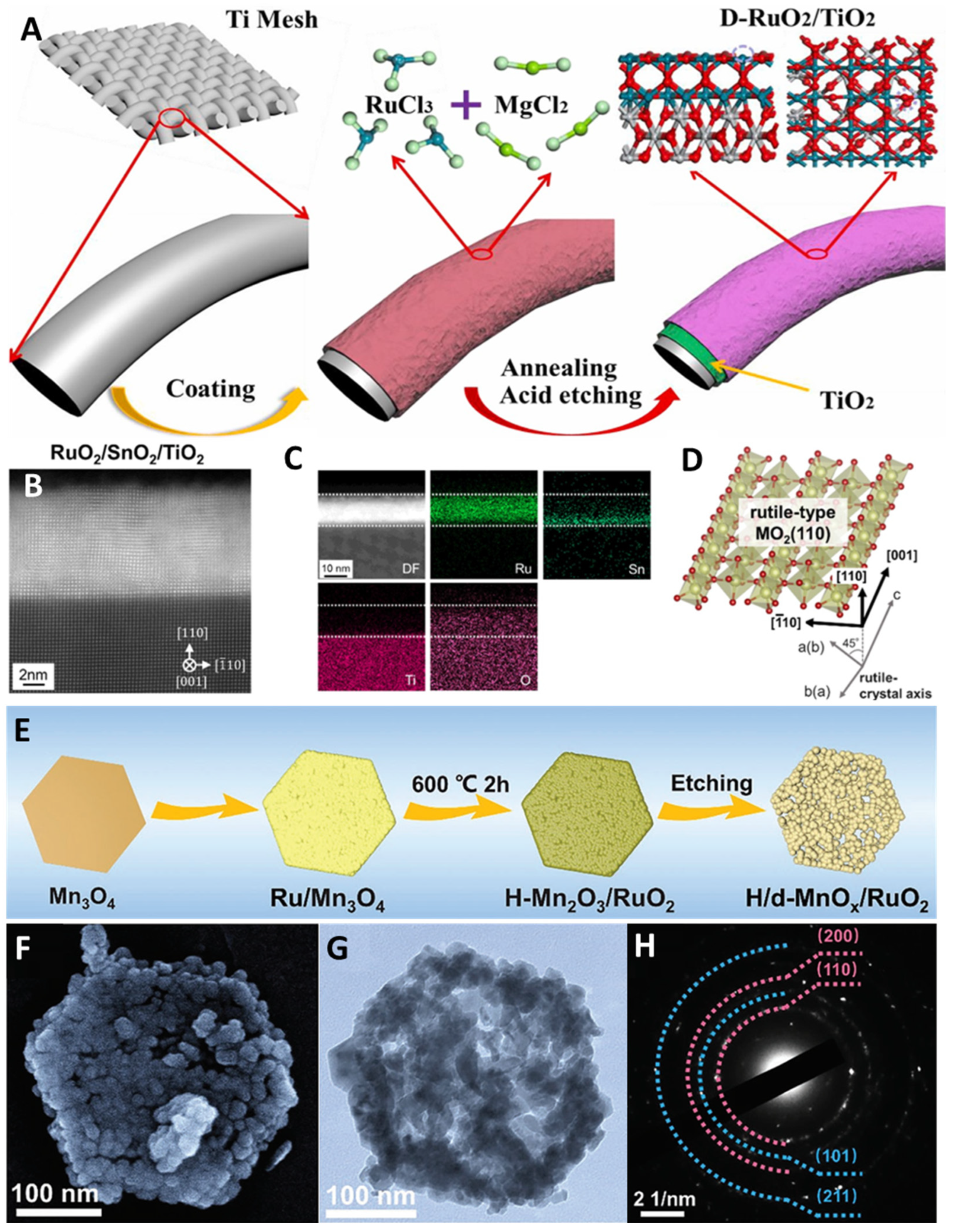 Molecules 29 00537 g005
