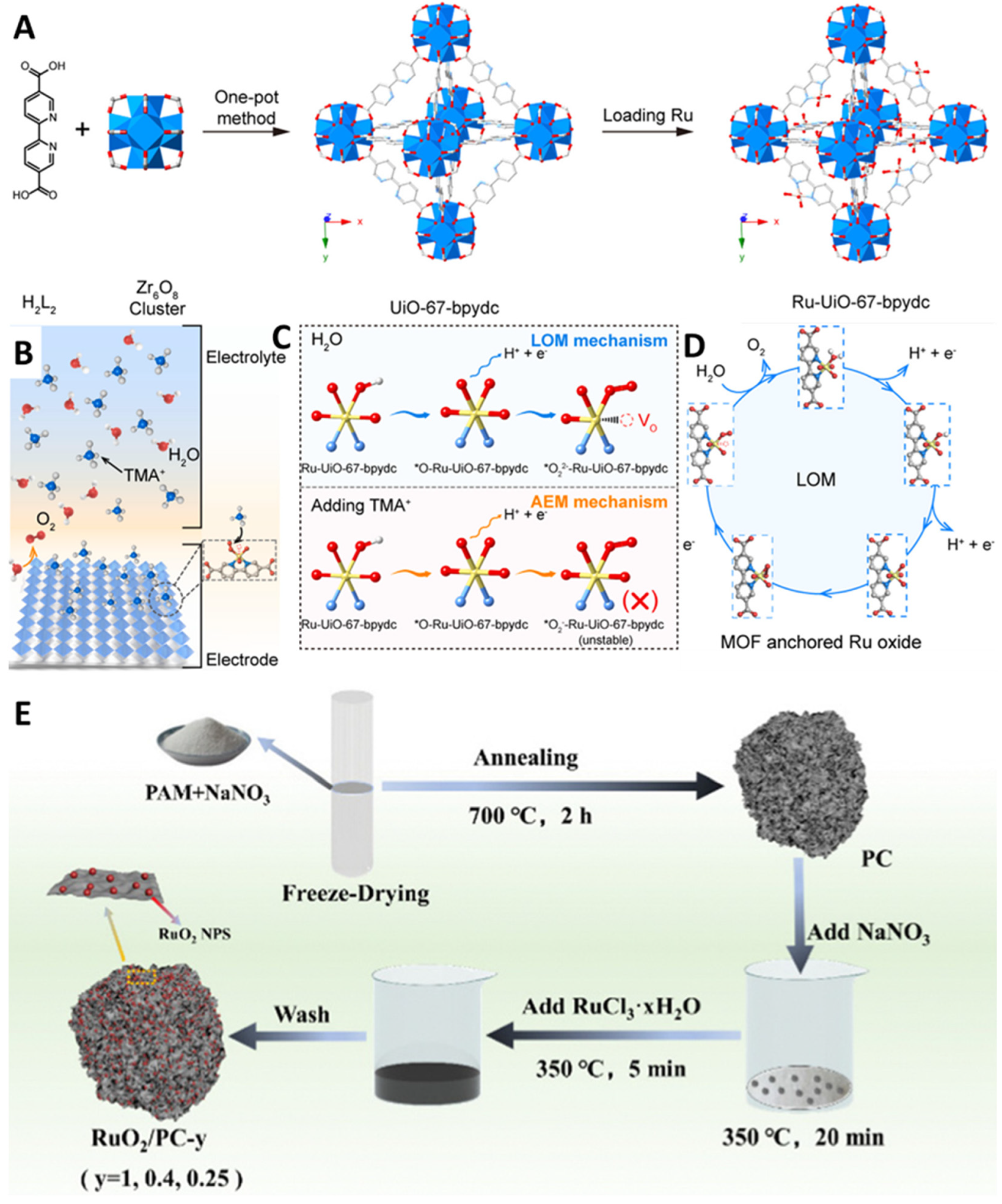 Molecules 29 00537 g009