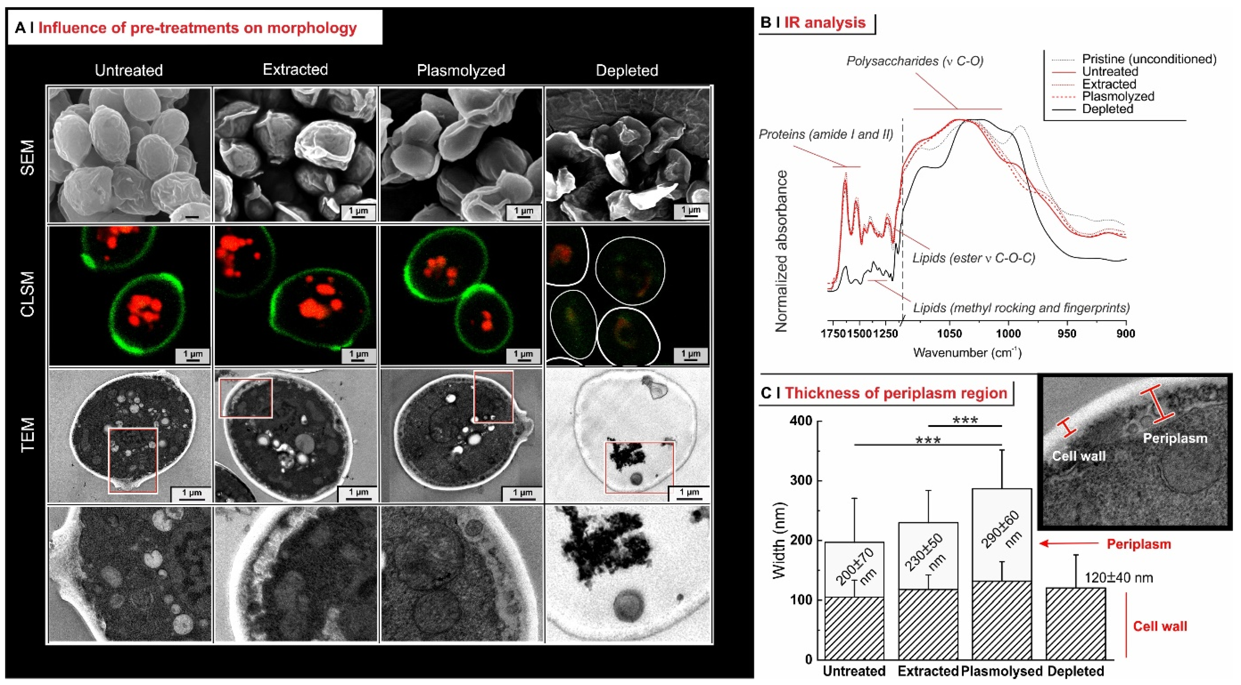 Molecules 29 00539 g002