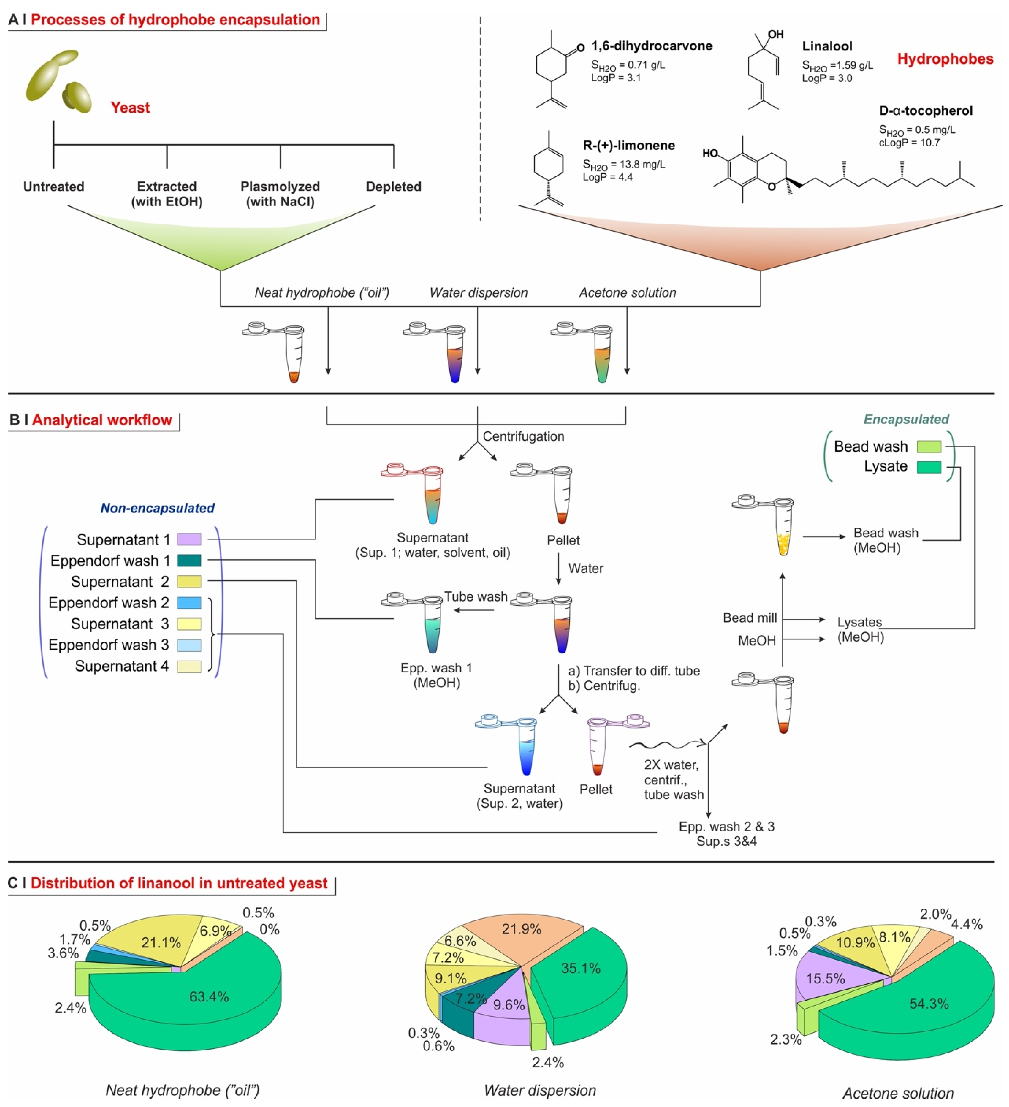 Molecules 29 00539 g004