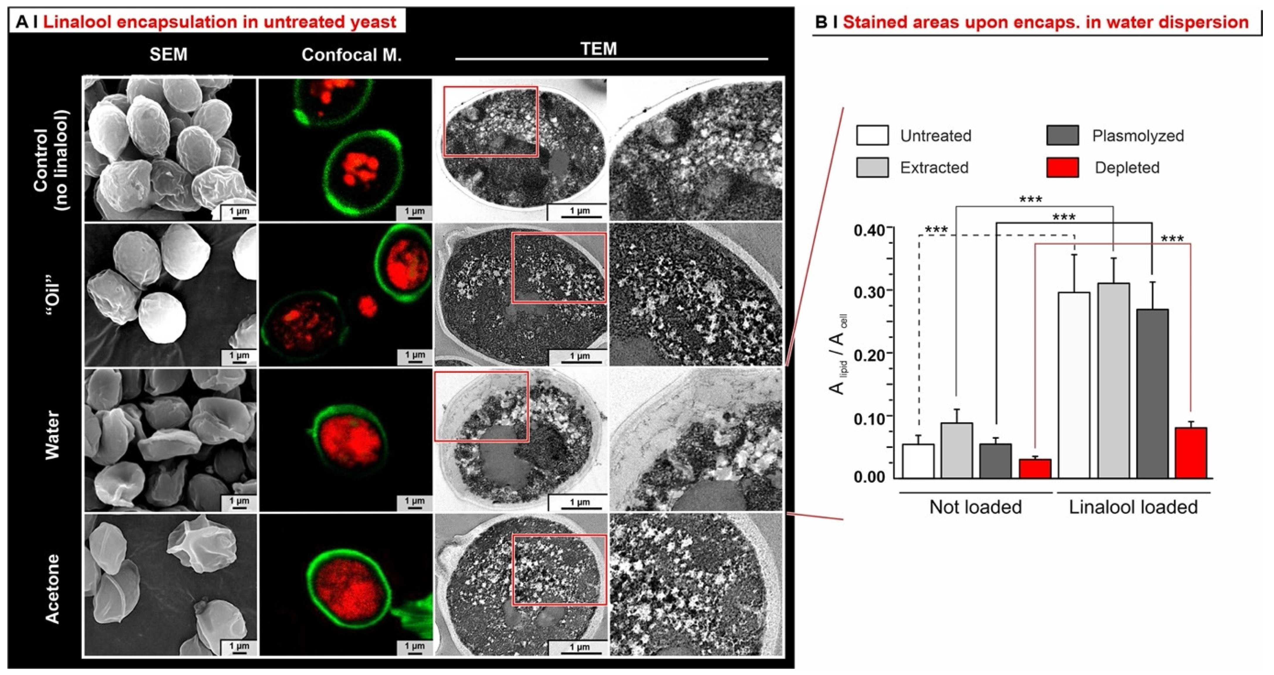 Molecules 29 00539 g005