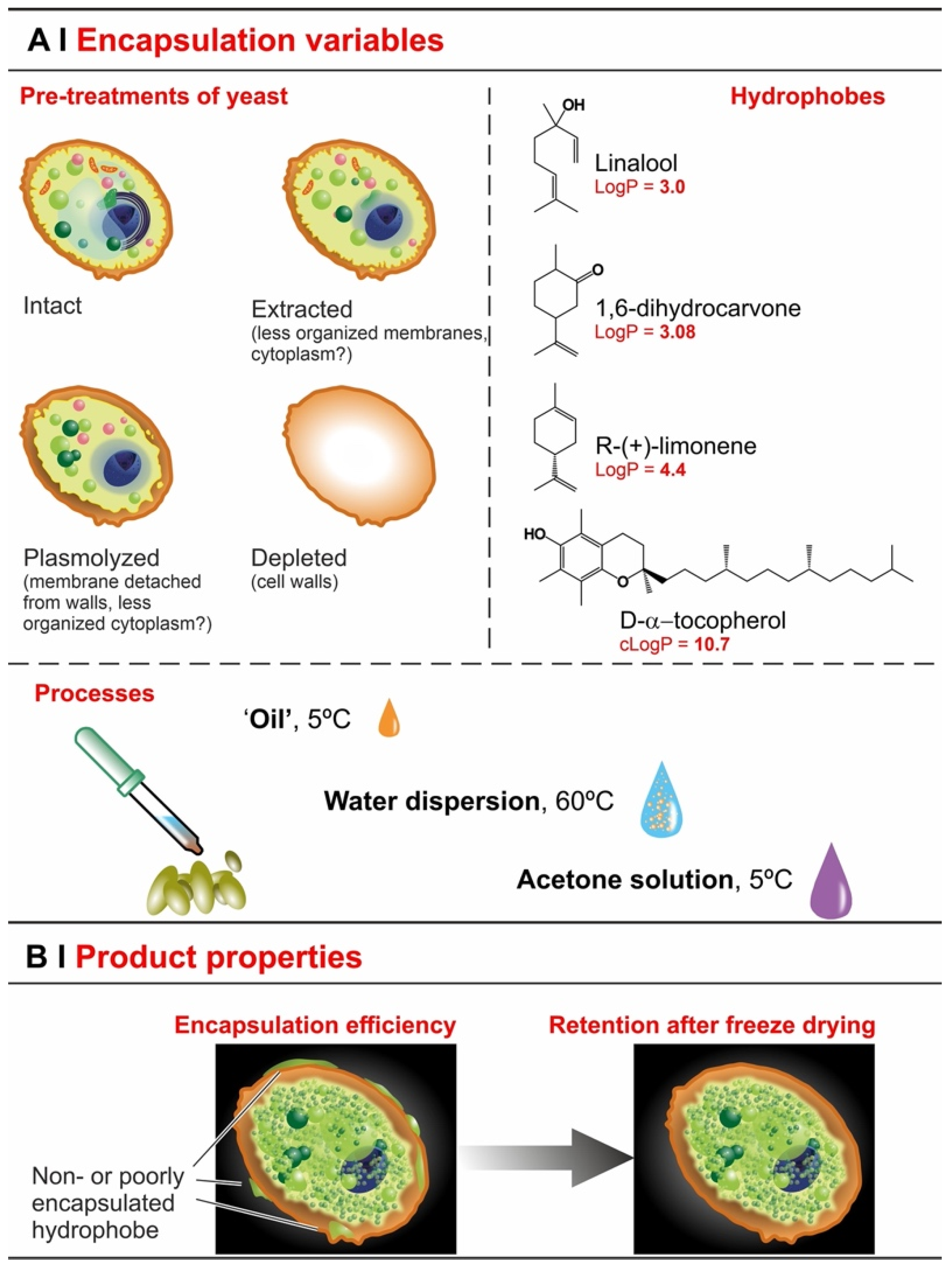 Molecules 29 00539 sch001