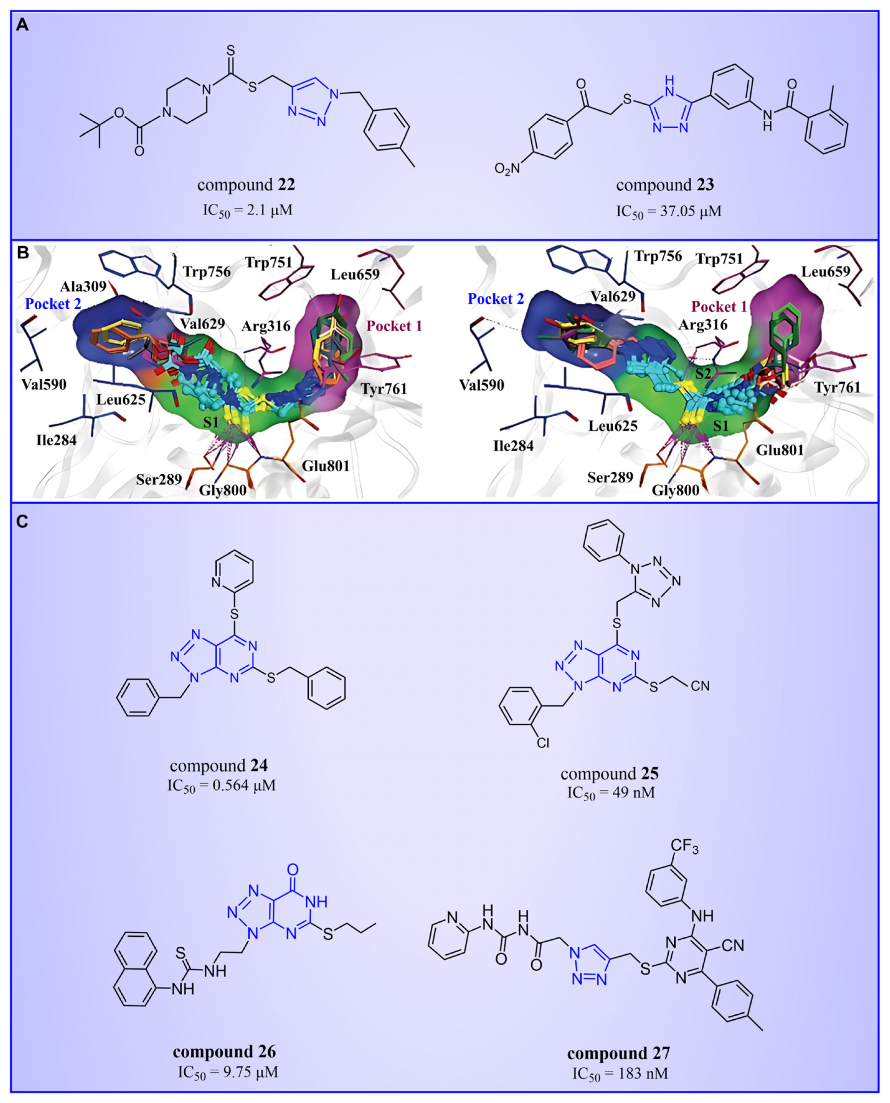 Molecules 29 00550 g006
