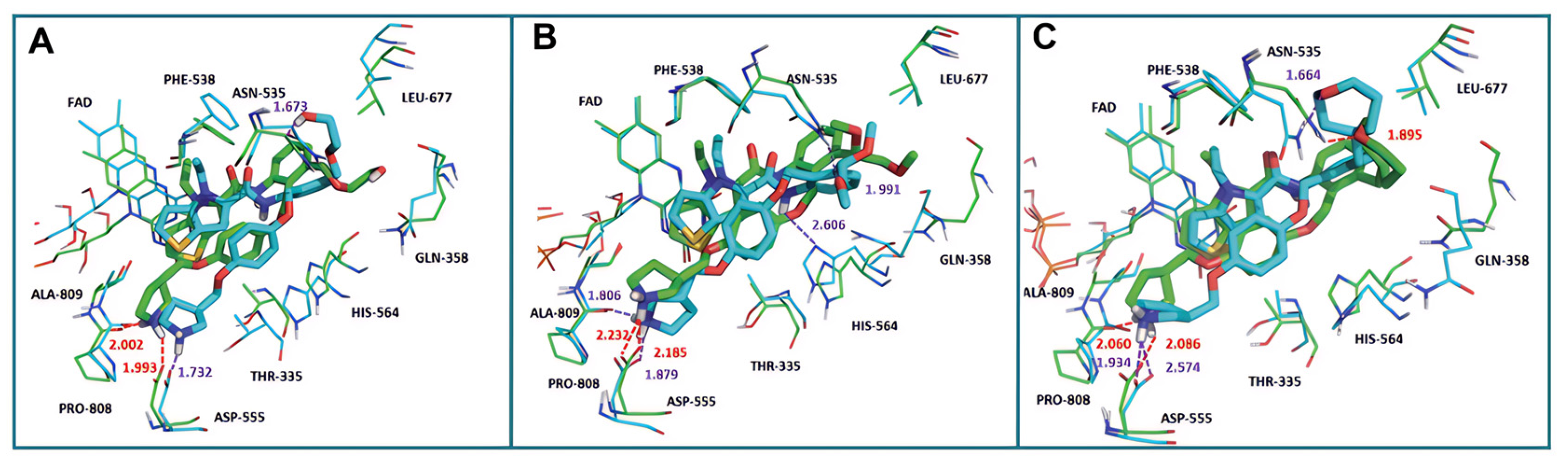 Molecules 29 00550 g012