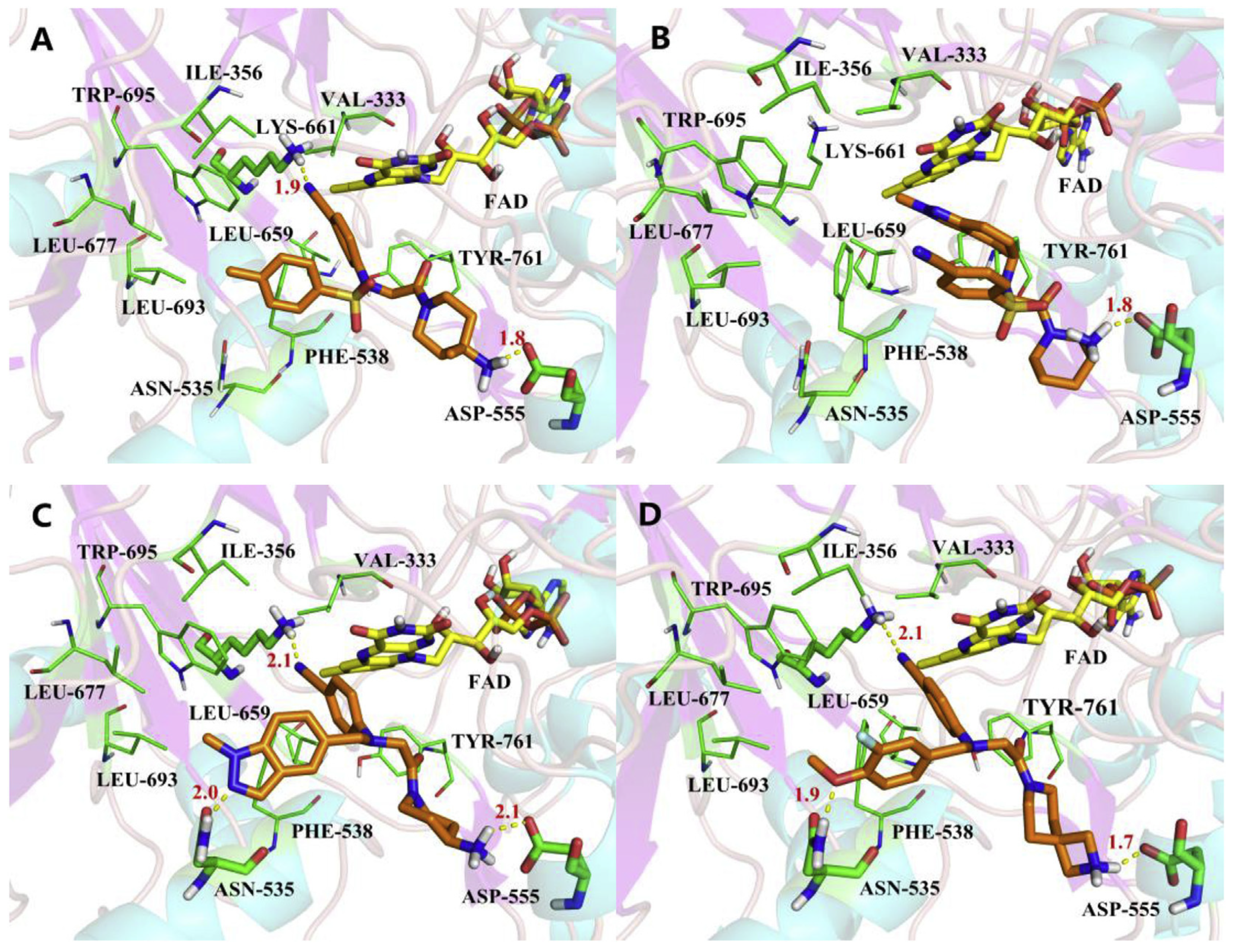 Molecules 29 00550 g025