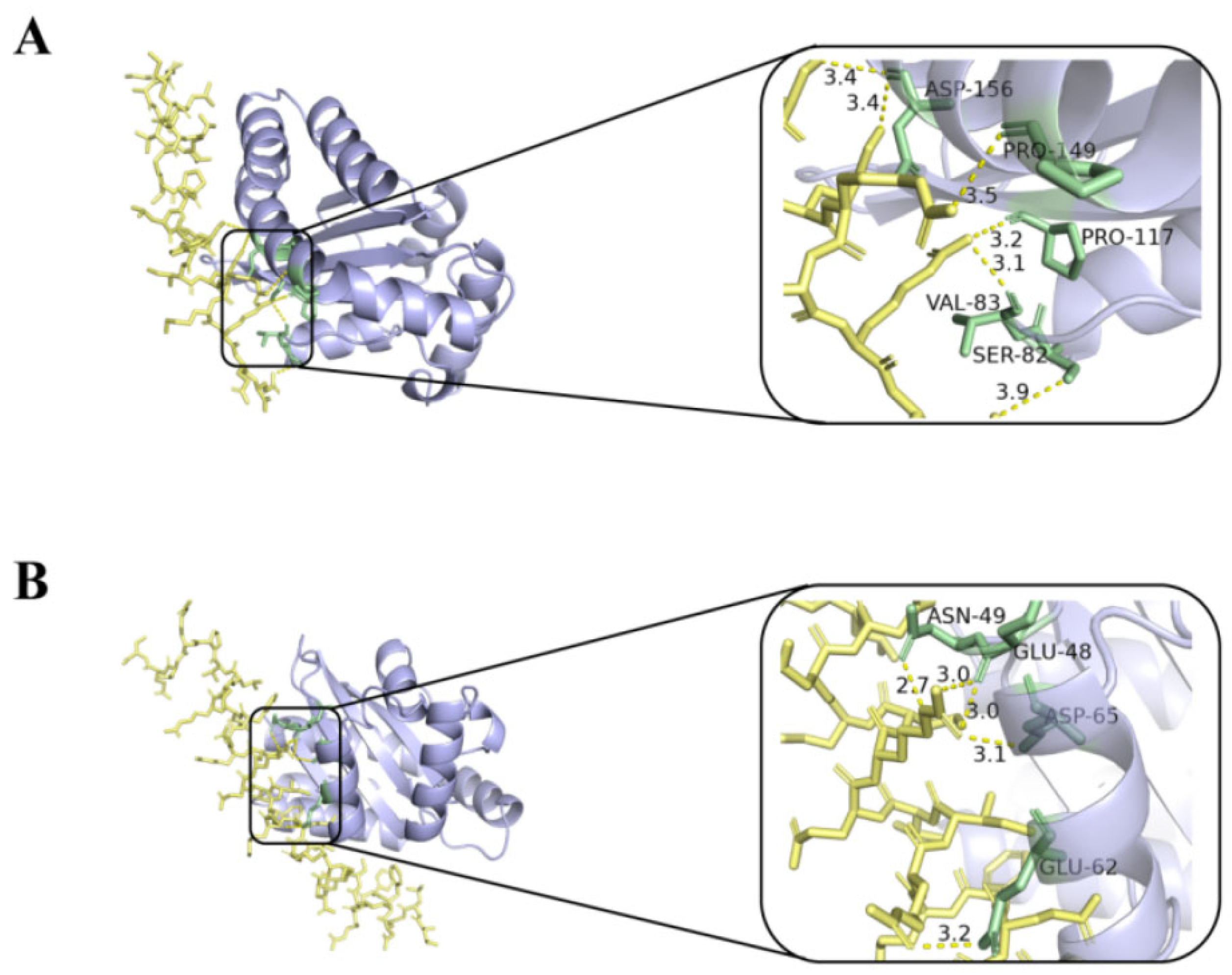 Molecules 29 00558 g007